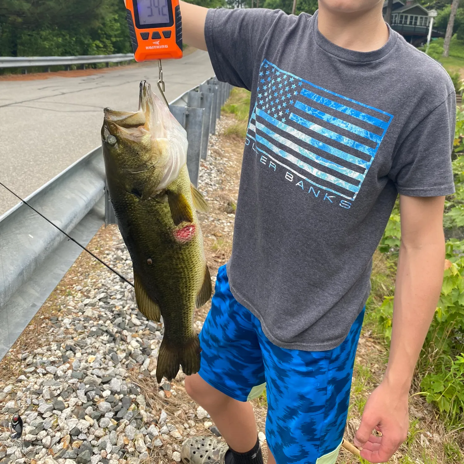 recently logged catches