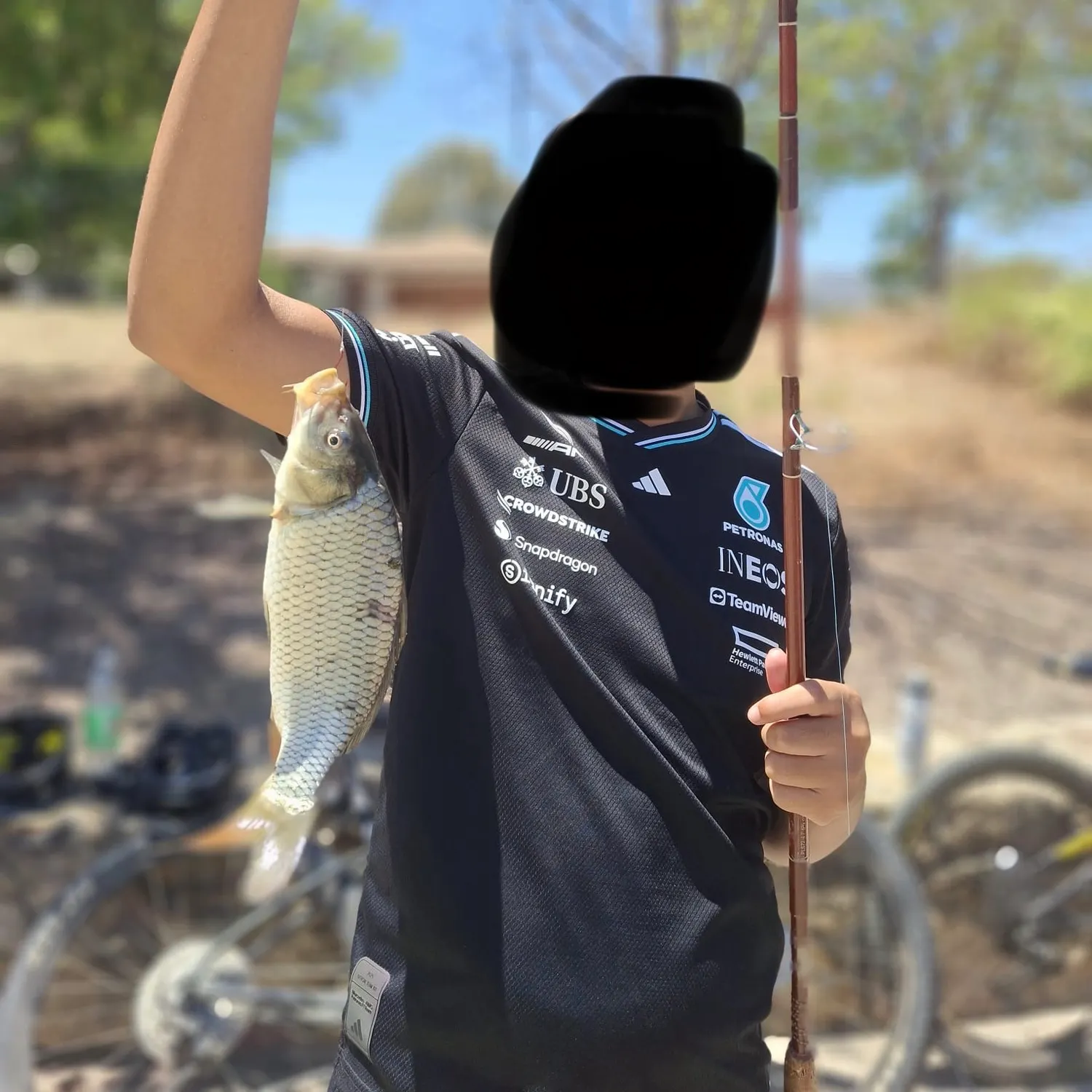 Common carp caught on Fishbrain
