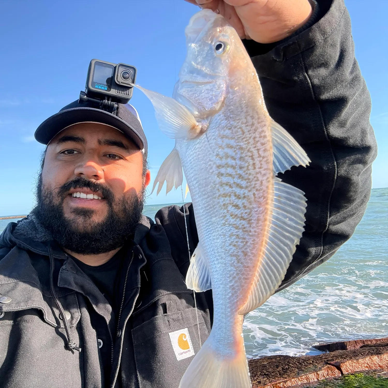 The most recent Atlantic croaker catches on Fishbrain