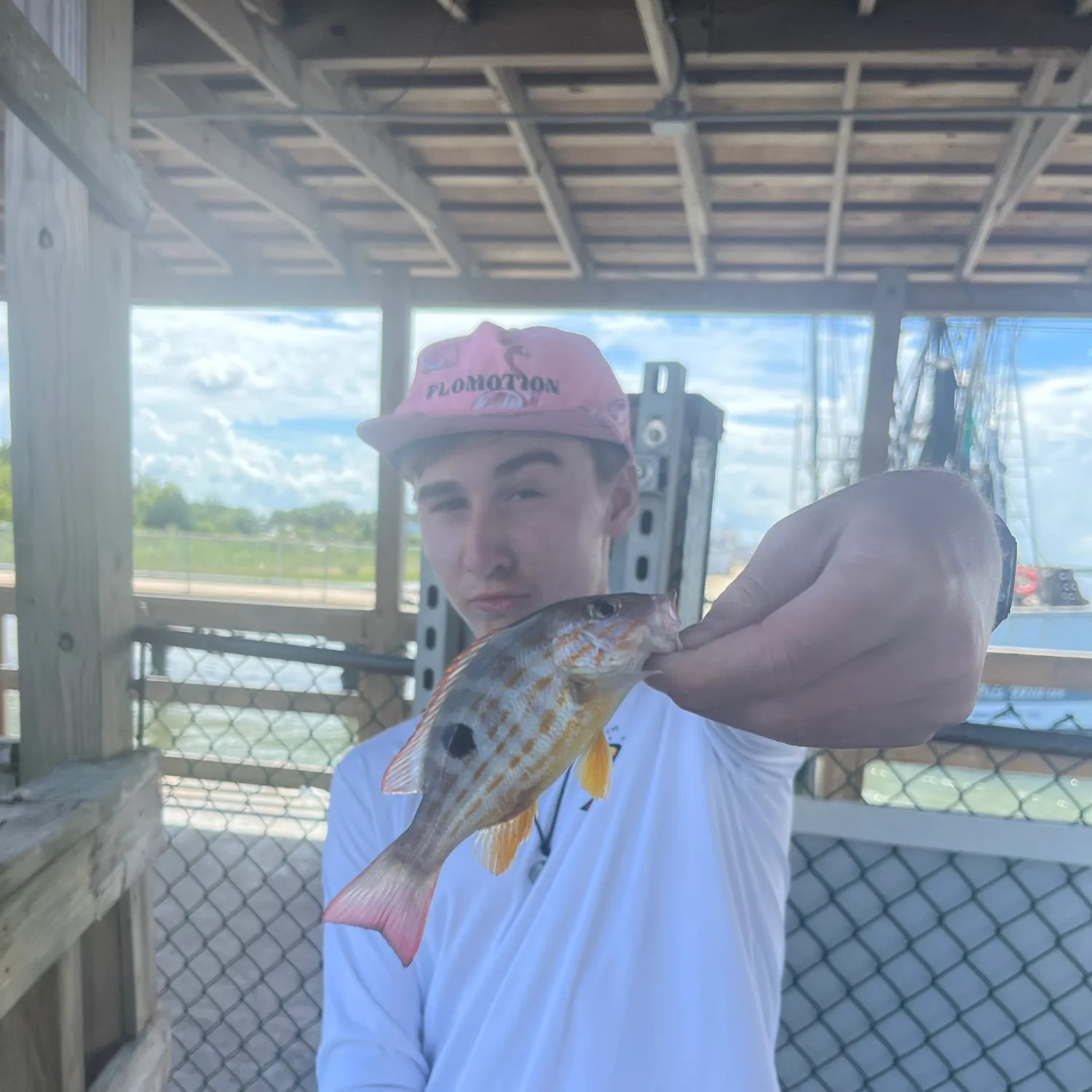 The most recent Lane snapper catches on Fishbrain