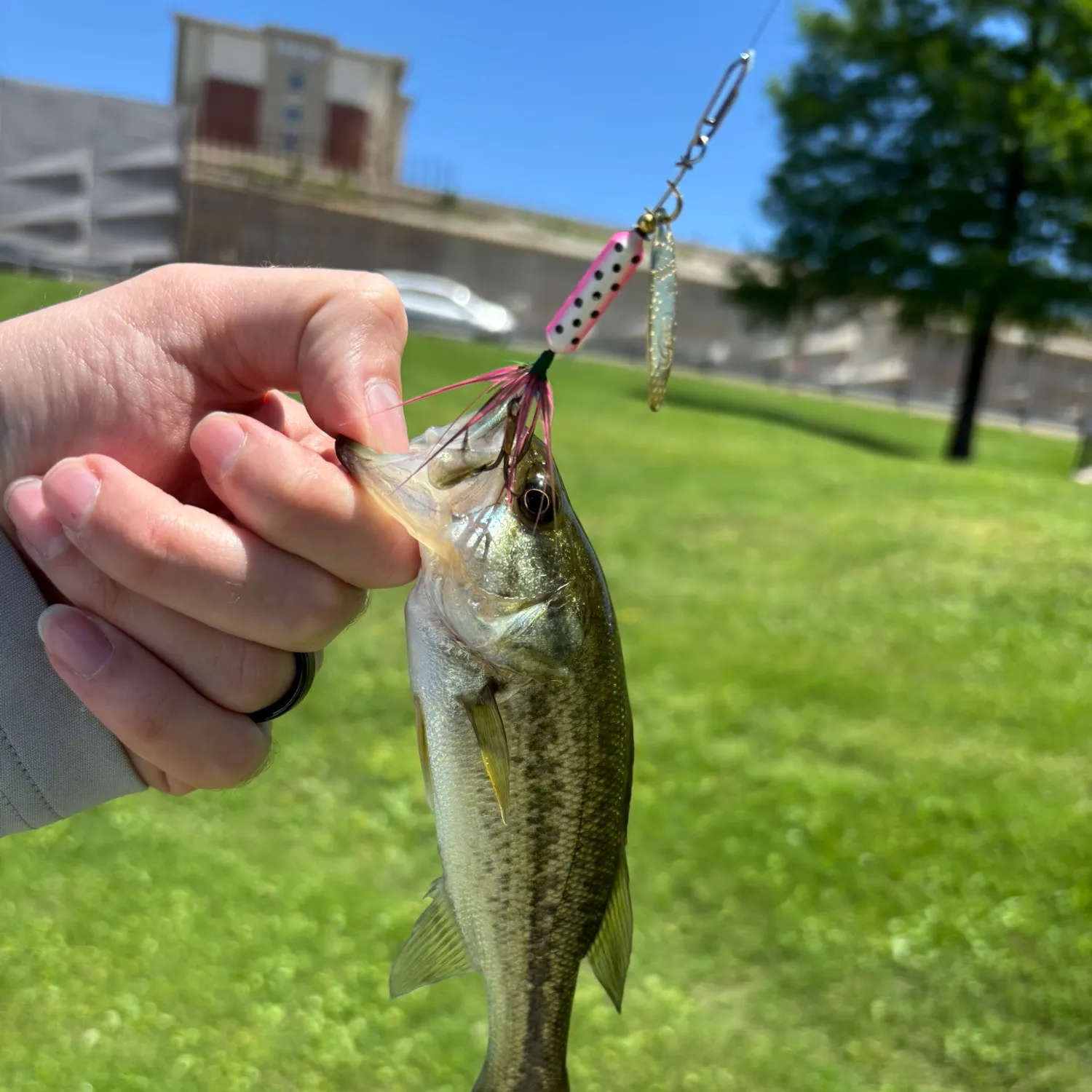 catch