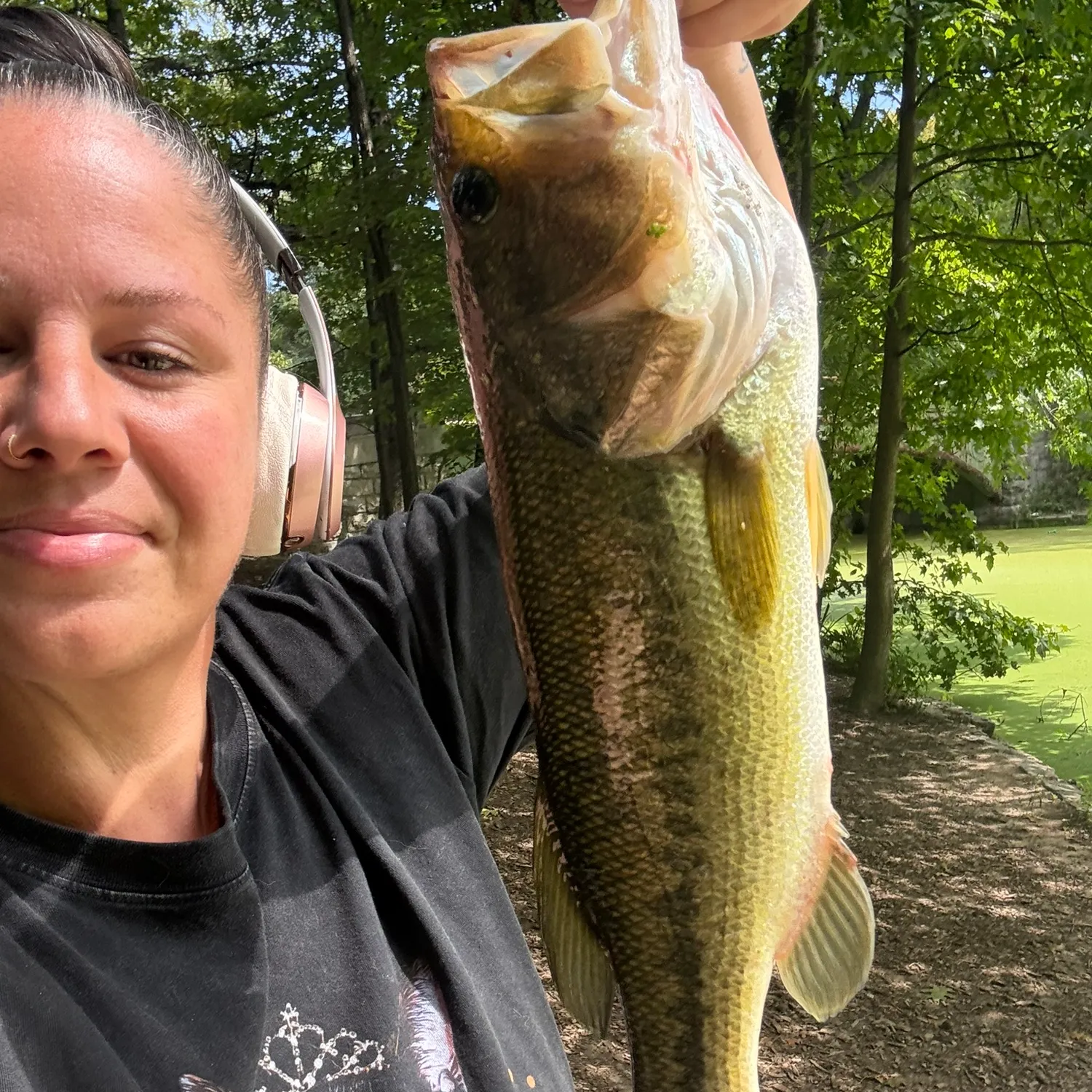 Largemouth bass caught on Fishbrain