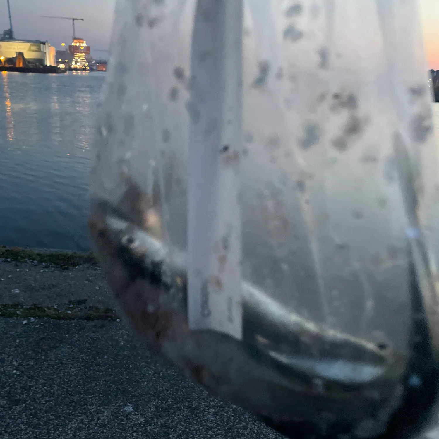 The most recent Bluestripe herring catches on Fishbrain