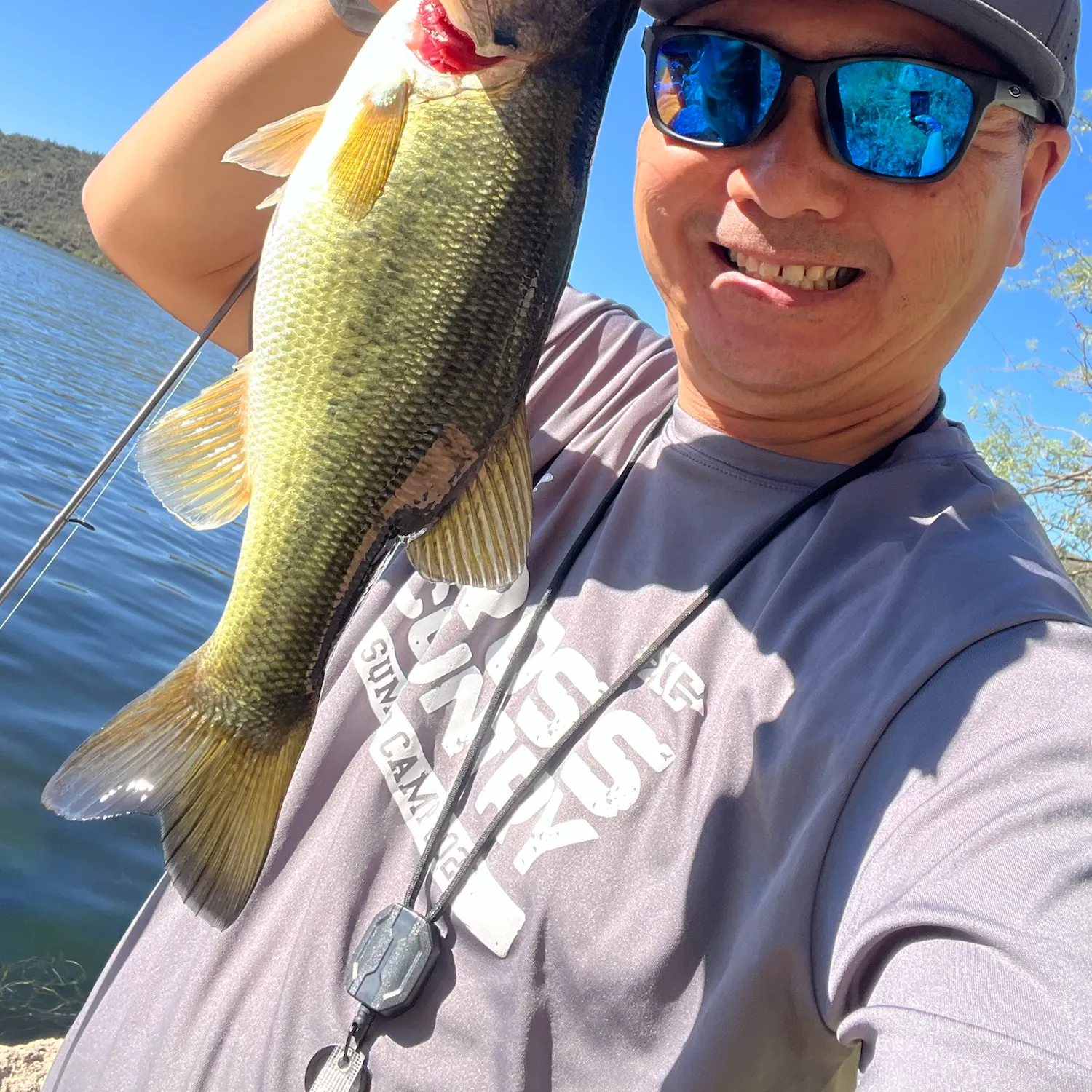 Largemouth bass caught on Fishbrain
