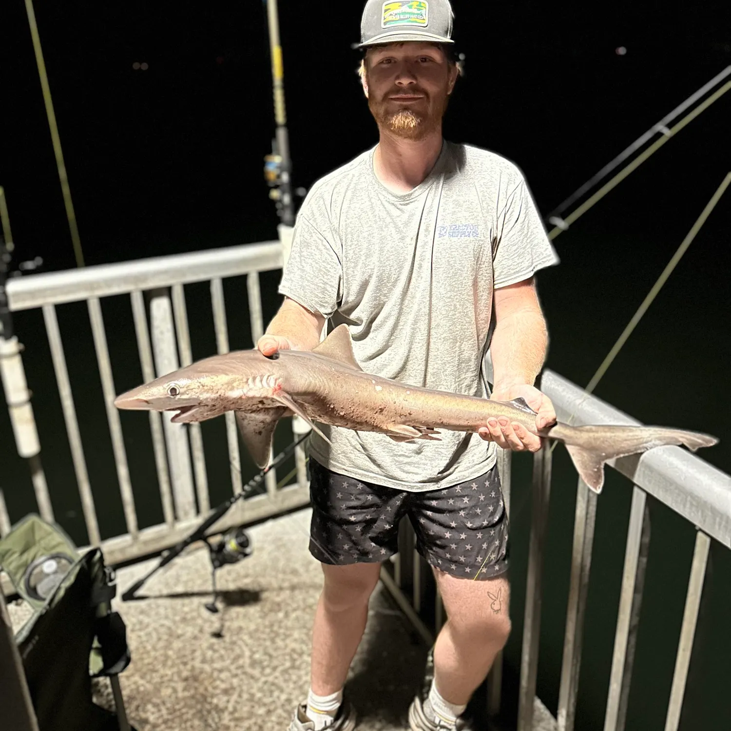 The most recent Atlantic sharpnose shark catches on Fishbrain