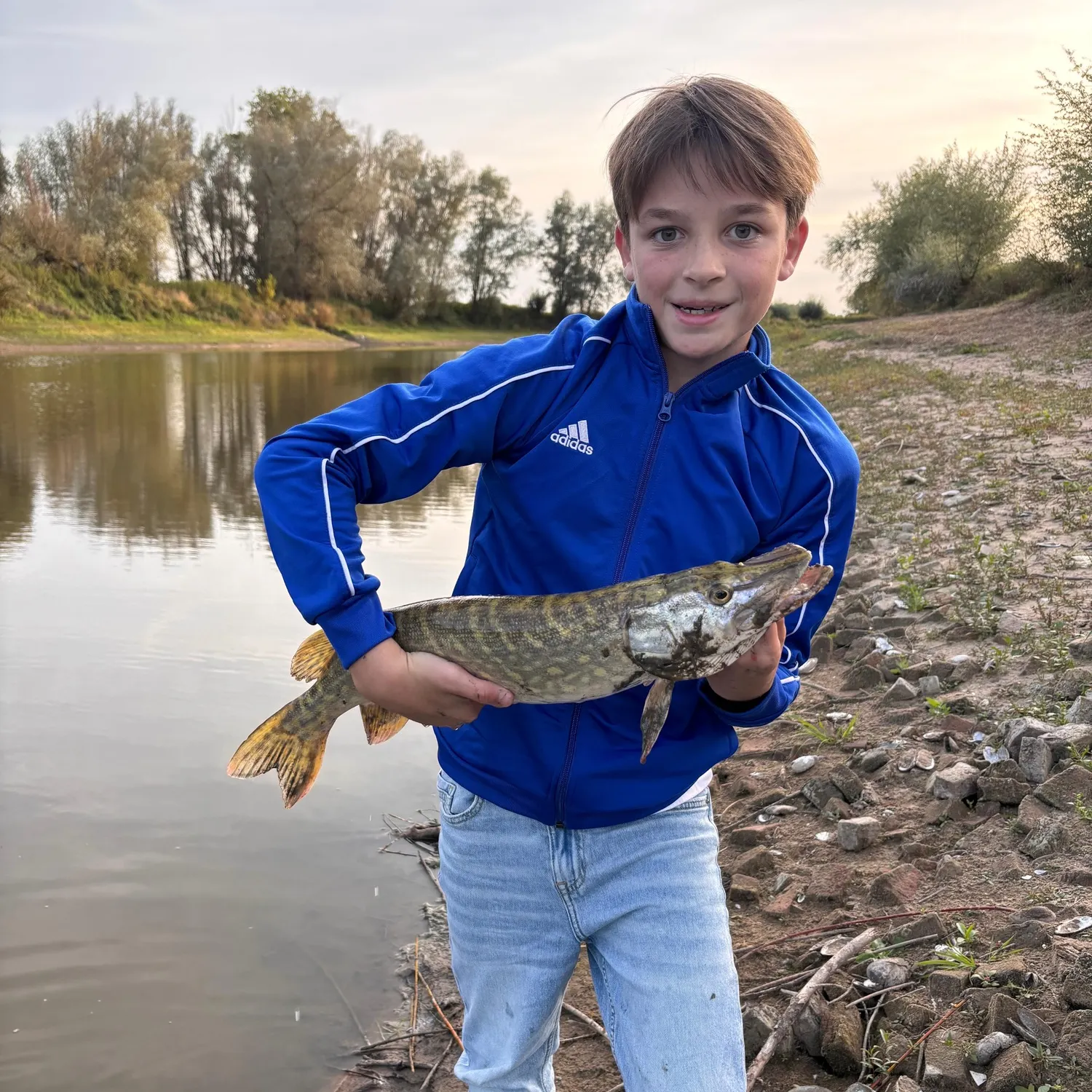 Northern pike caught on Fishbrain