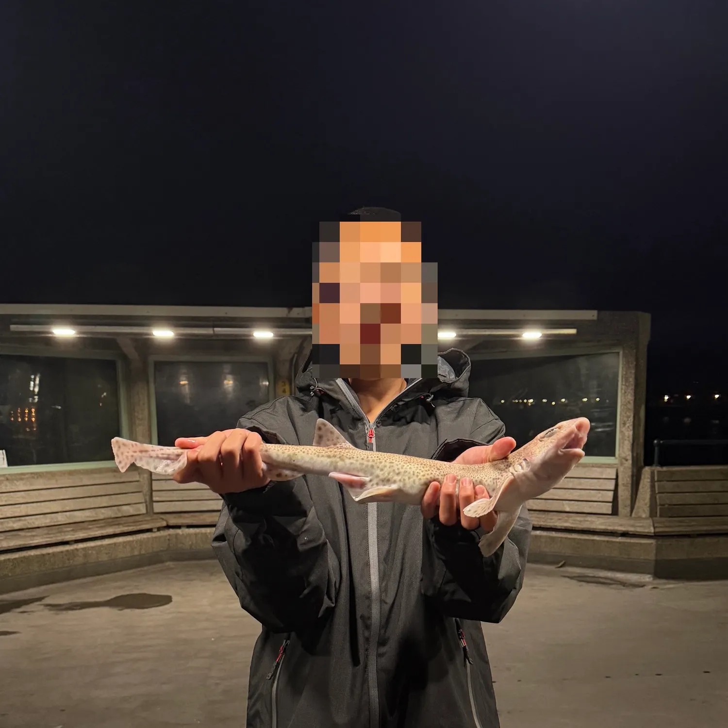 The most recent Piked dogfish catches on Fishbrain
