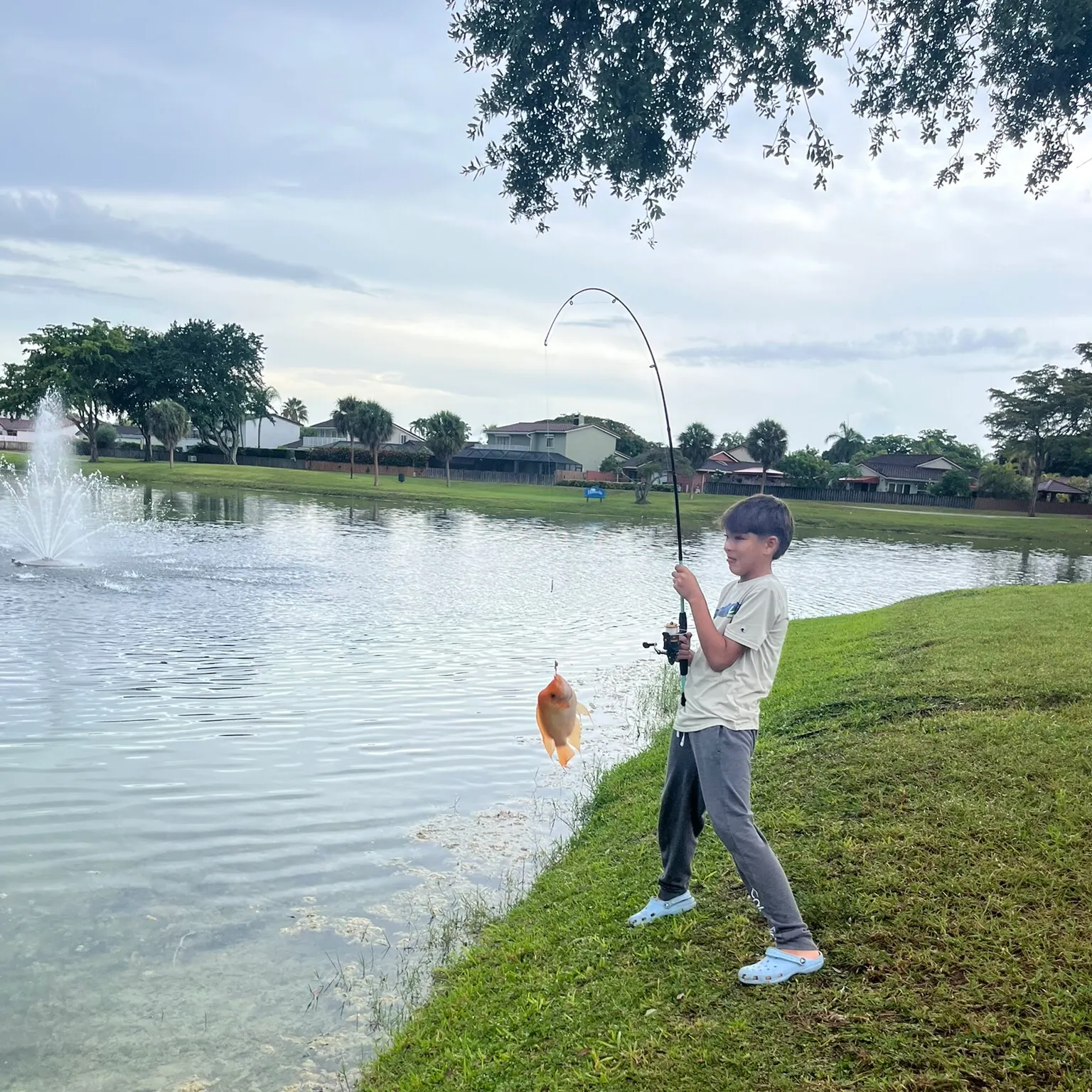 catch