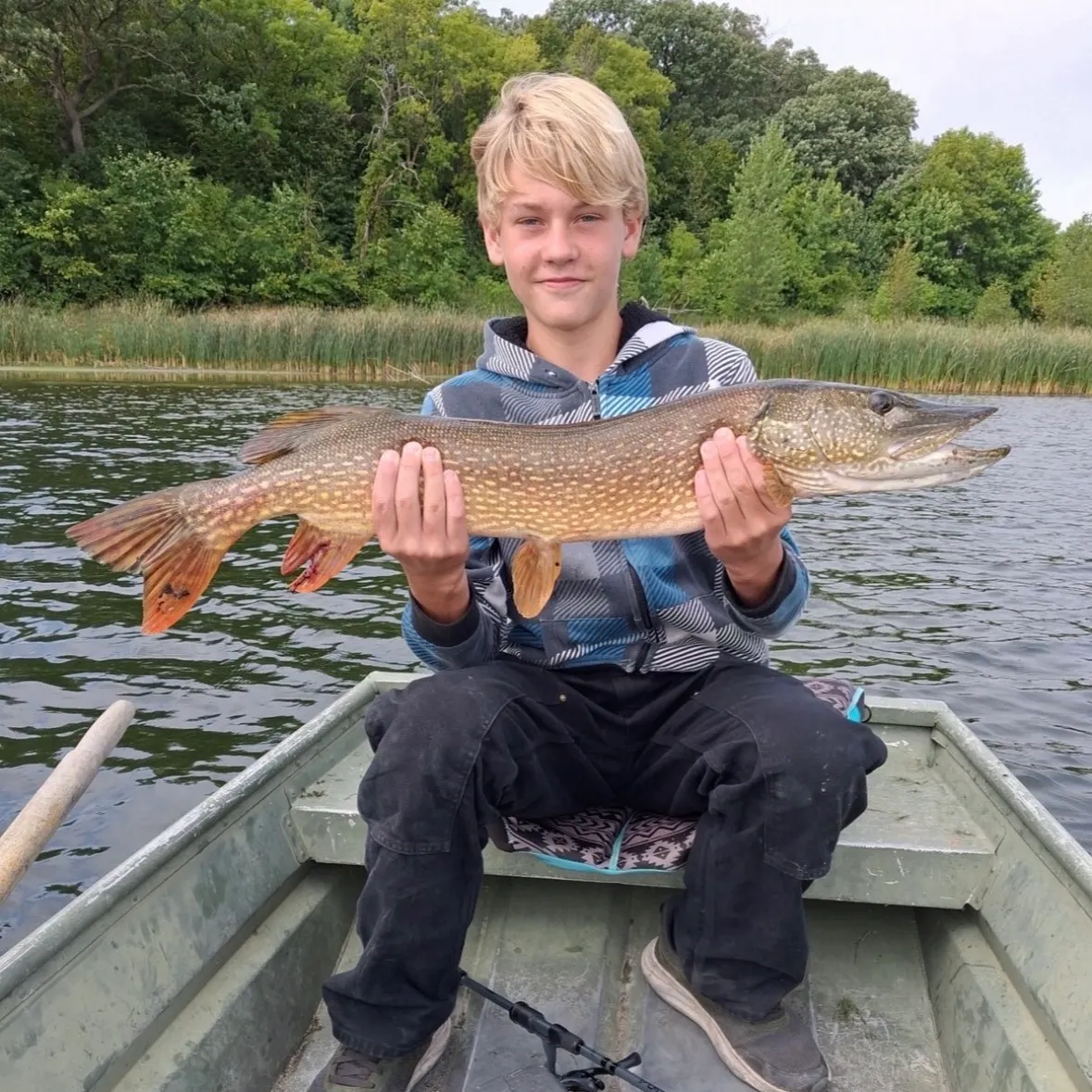 Northern pike caught on Fishbrain