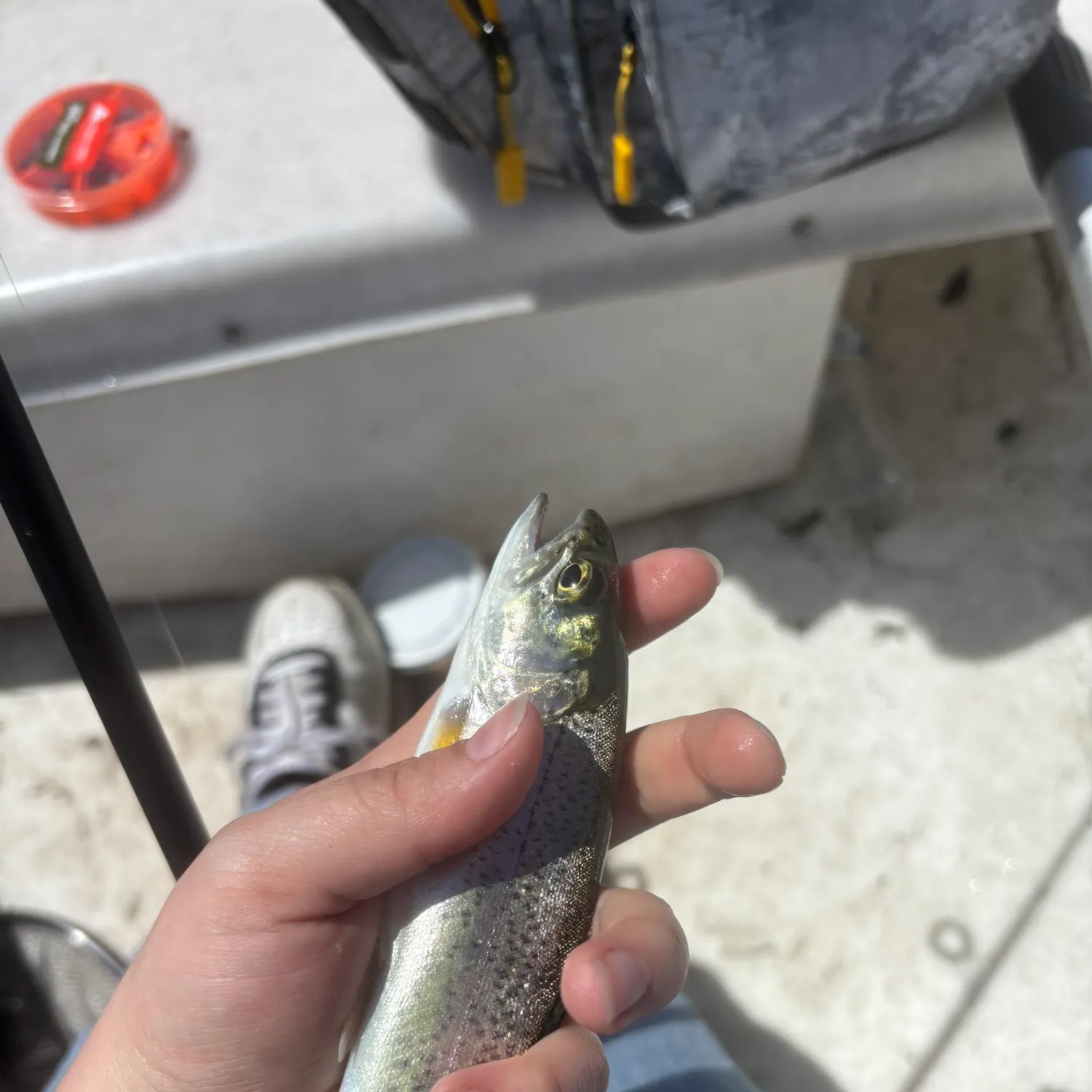 catch