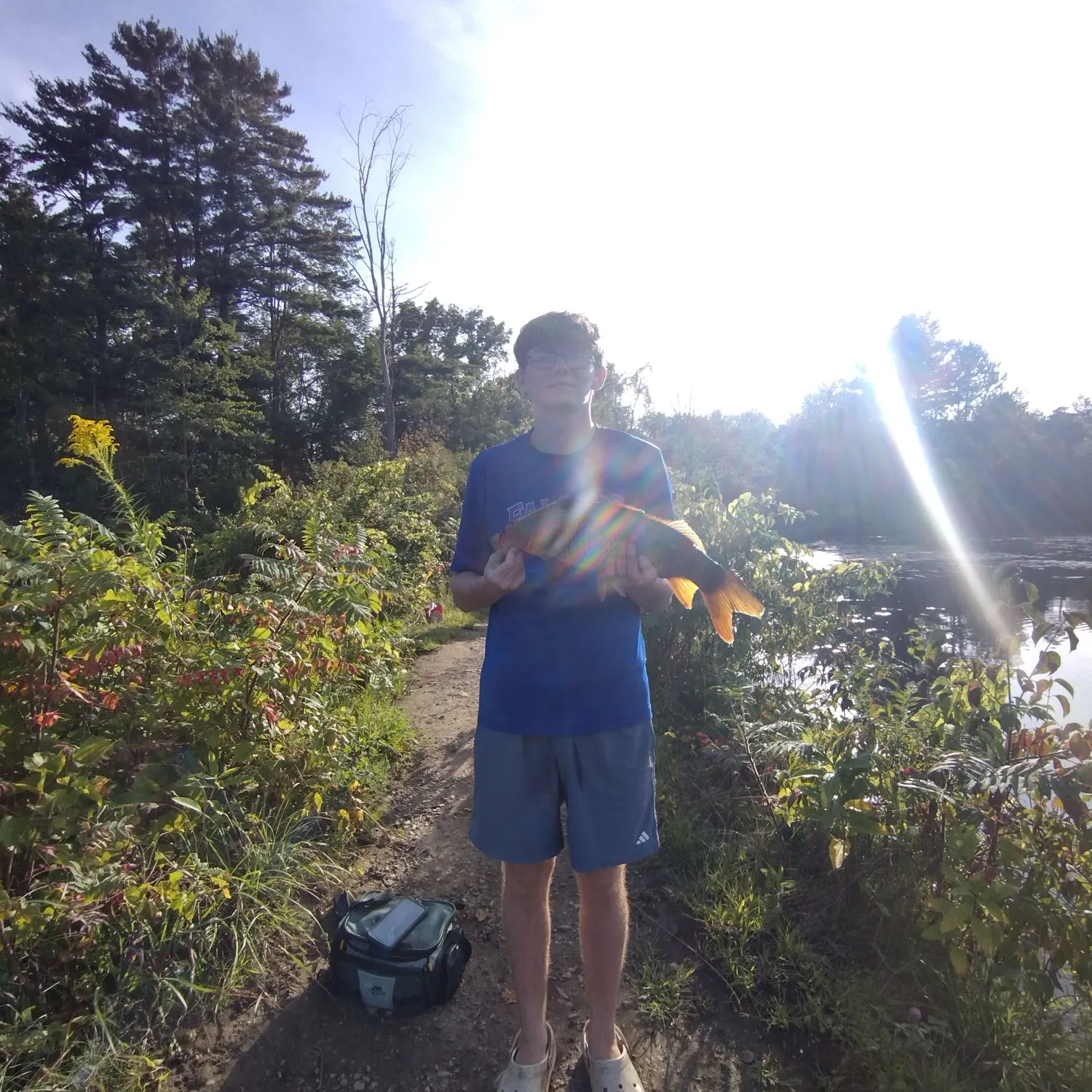 Common carp caught on Fishbrain