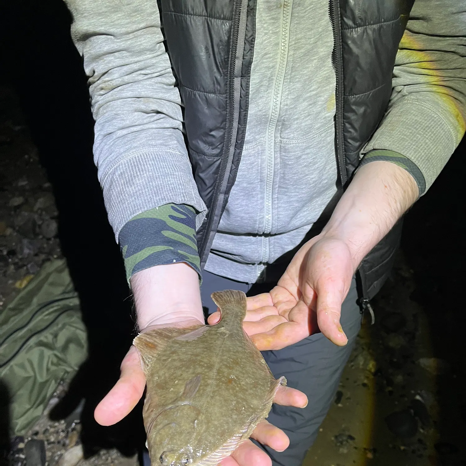 The most recent European flounder catches on Fishbrain