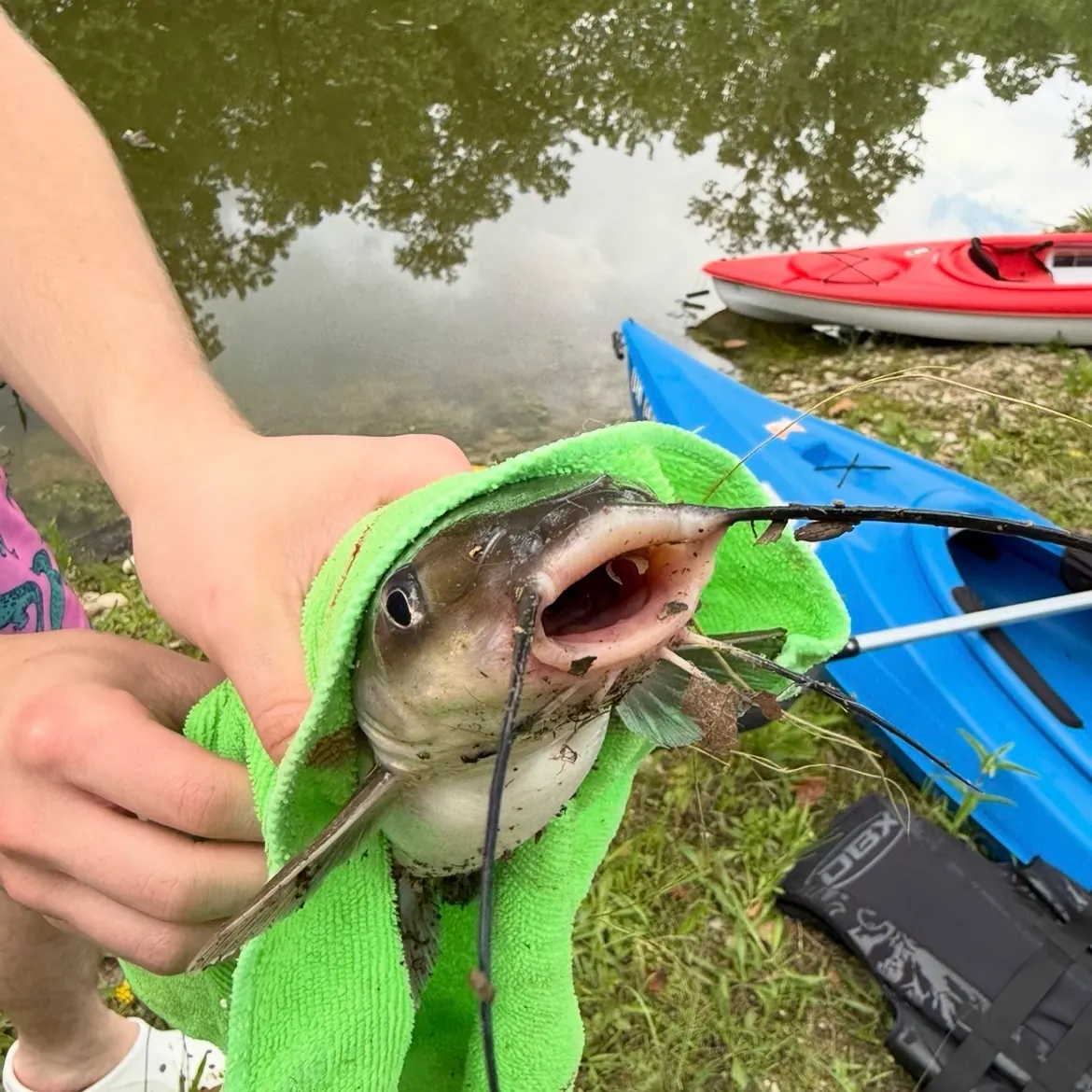 catch