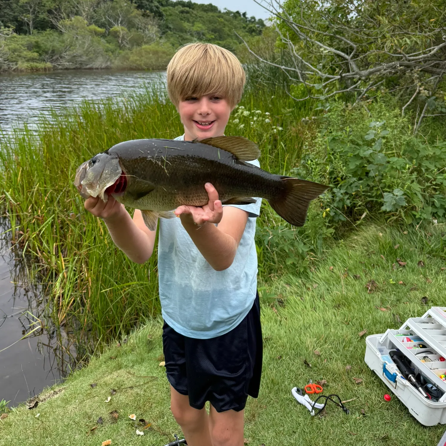 Fish caught on Fishbrain