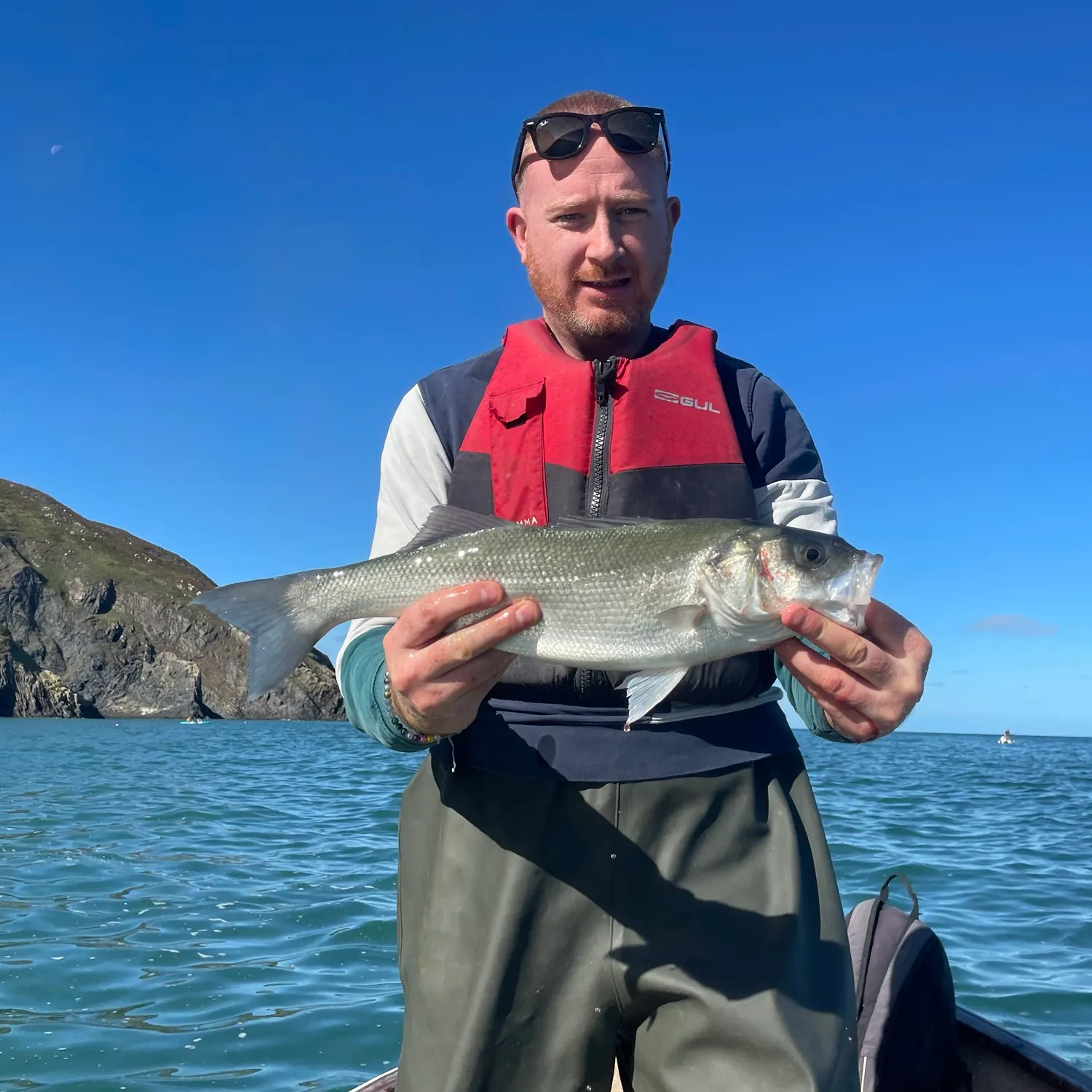 European seabass caught on Fishbrain