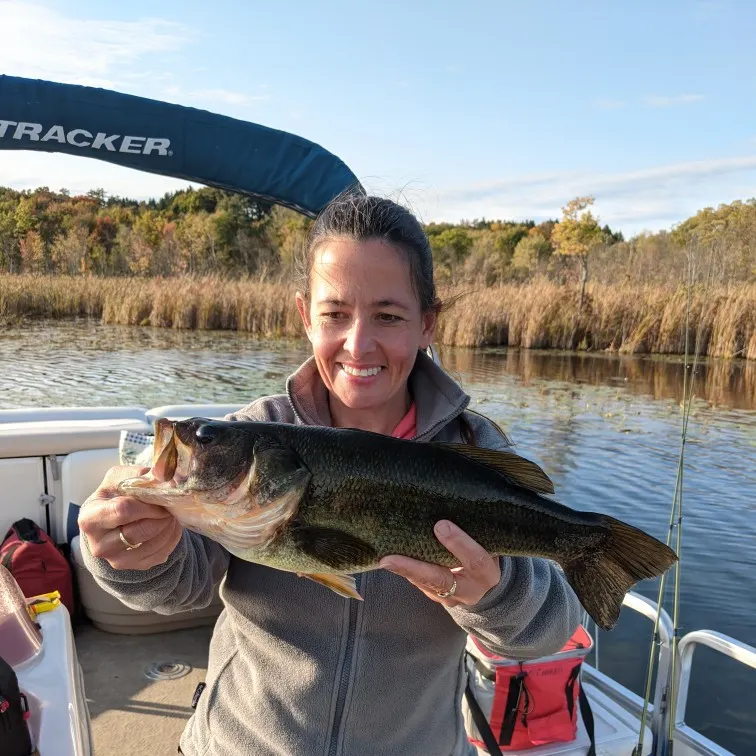 angler catch