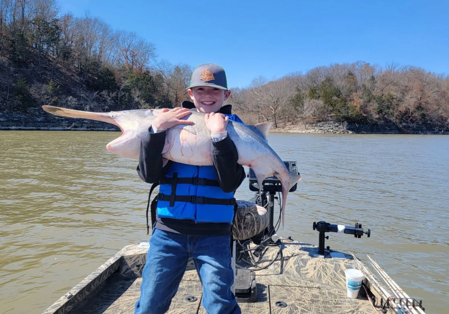 Paddlefish