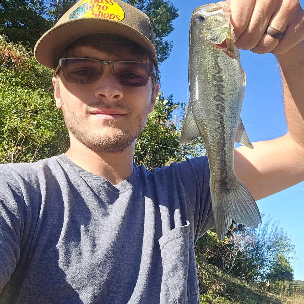 Largemouth bass caught on Fishbrain