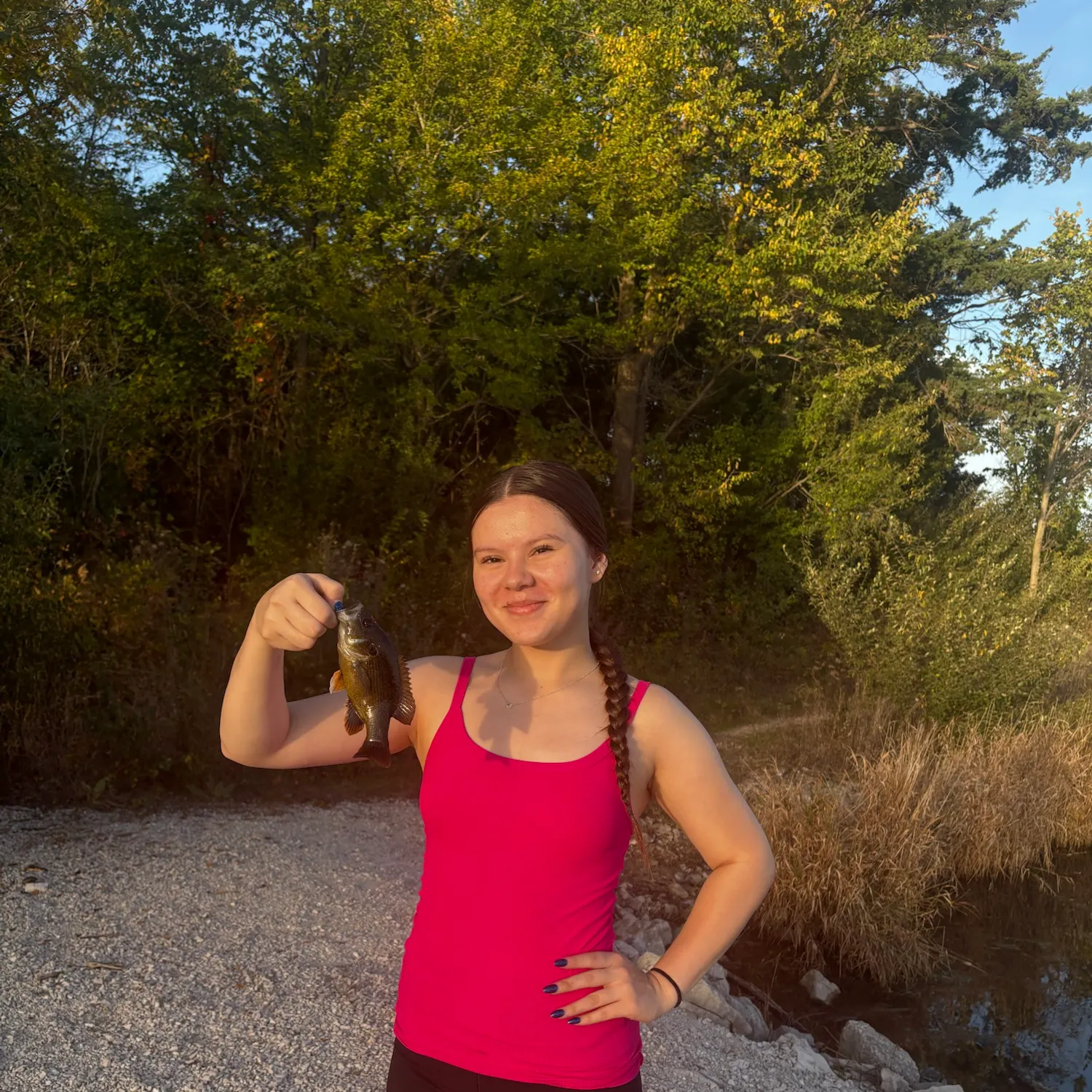 Bluegill caught on Fishbrain