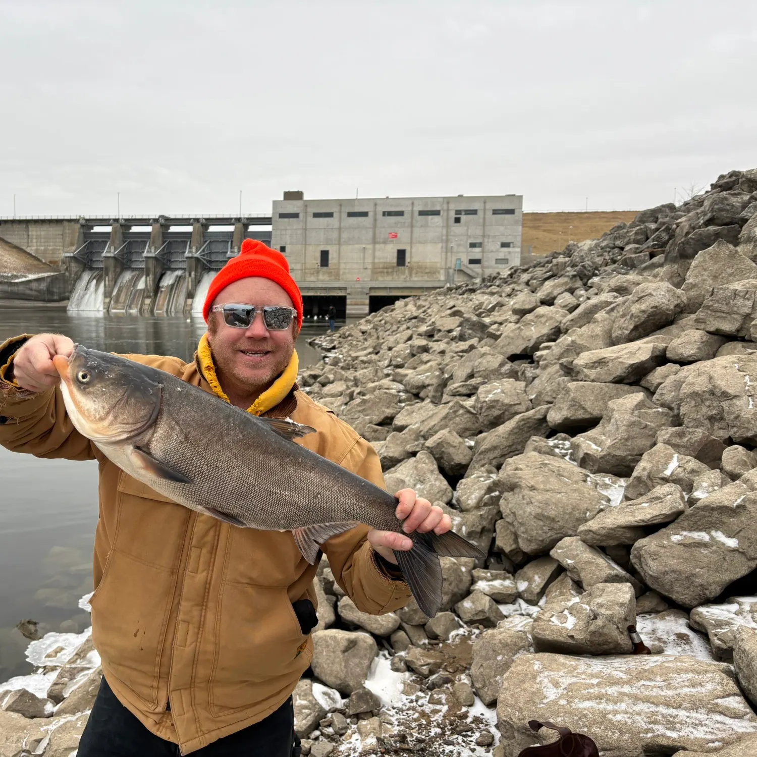 The most recent Bighead carp catches on Fishbrain