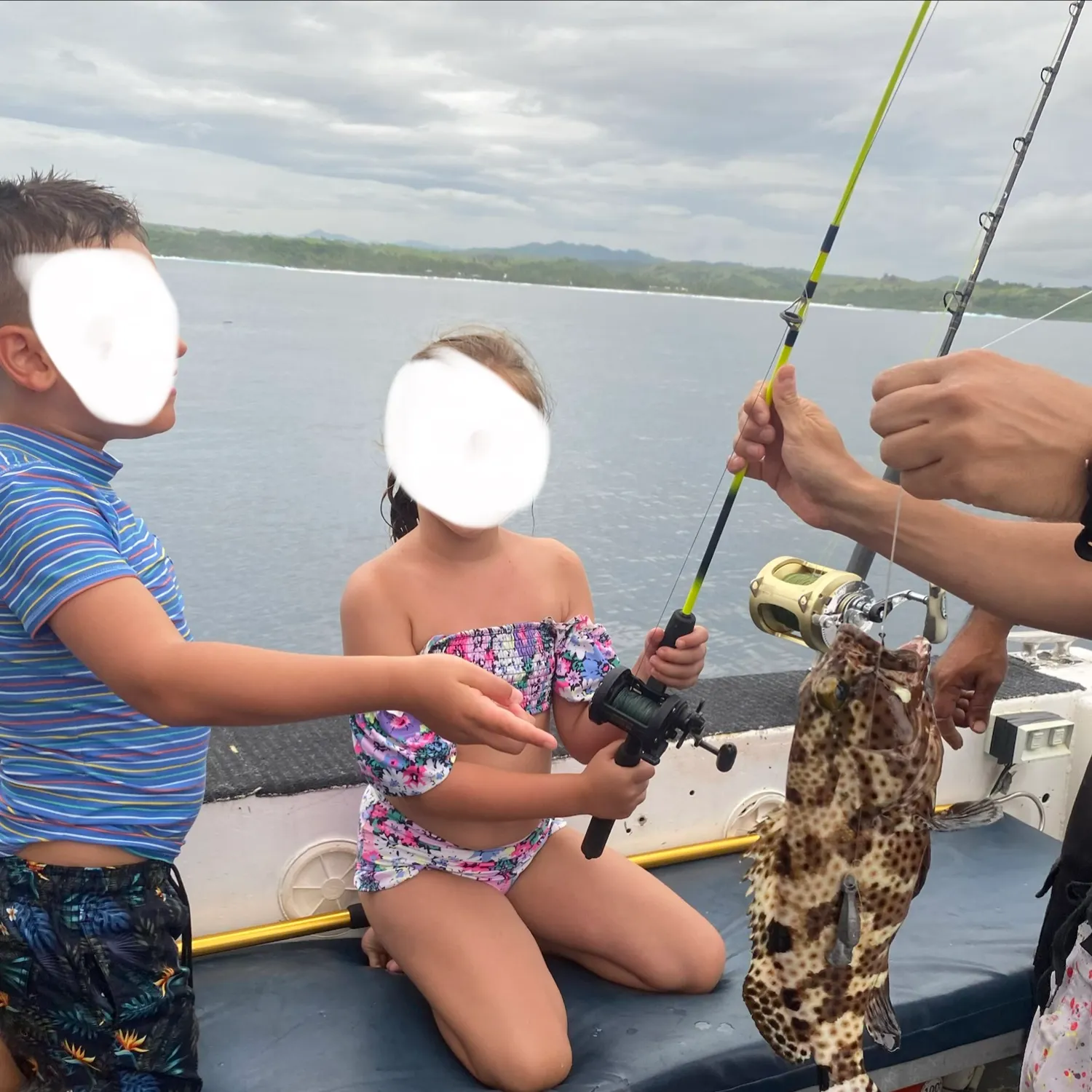 The most recent Orange-spotted grouper catches on Fishbrain