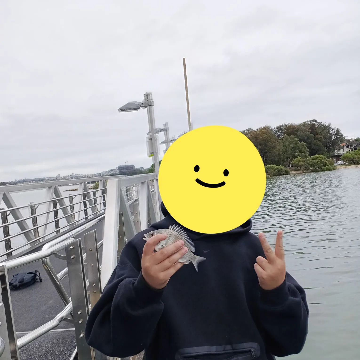 Surf bream caught on Fishbrain