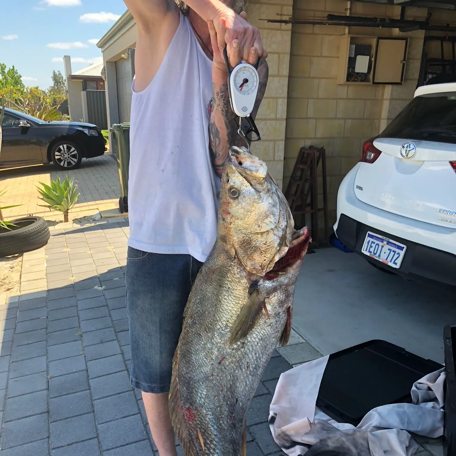 angler catch