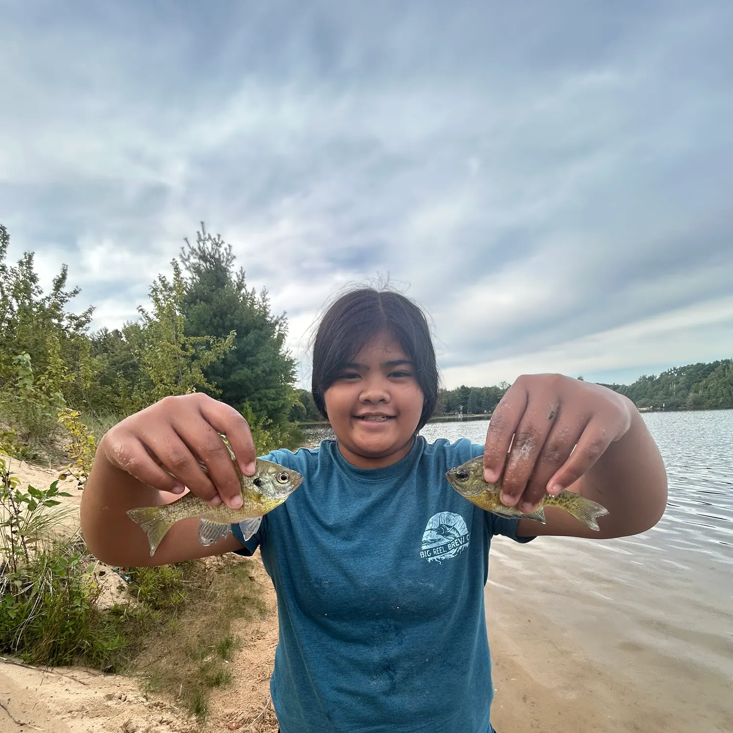 Bluegill caught on Fishbrain