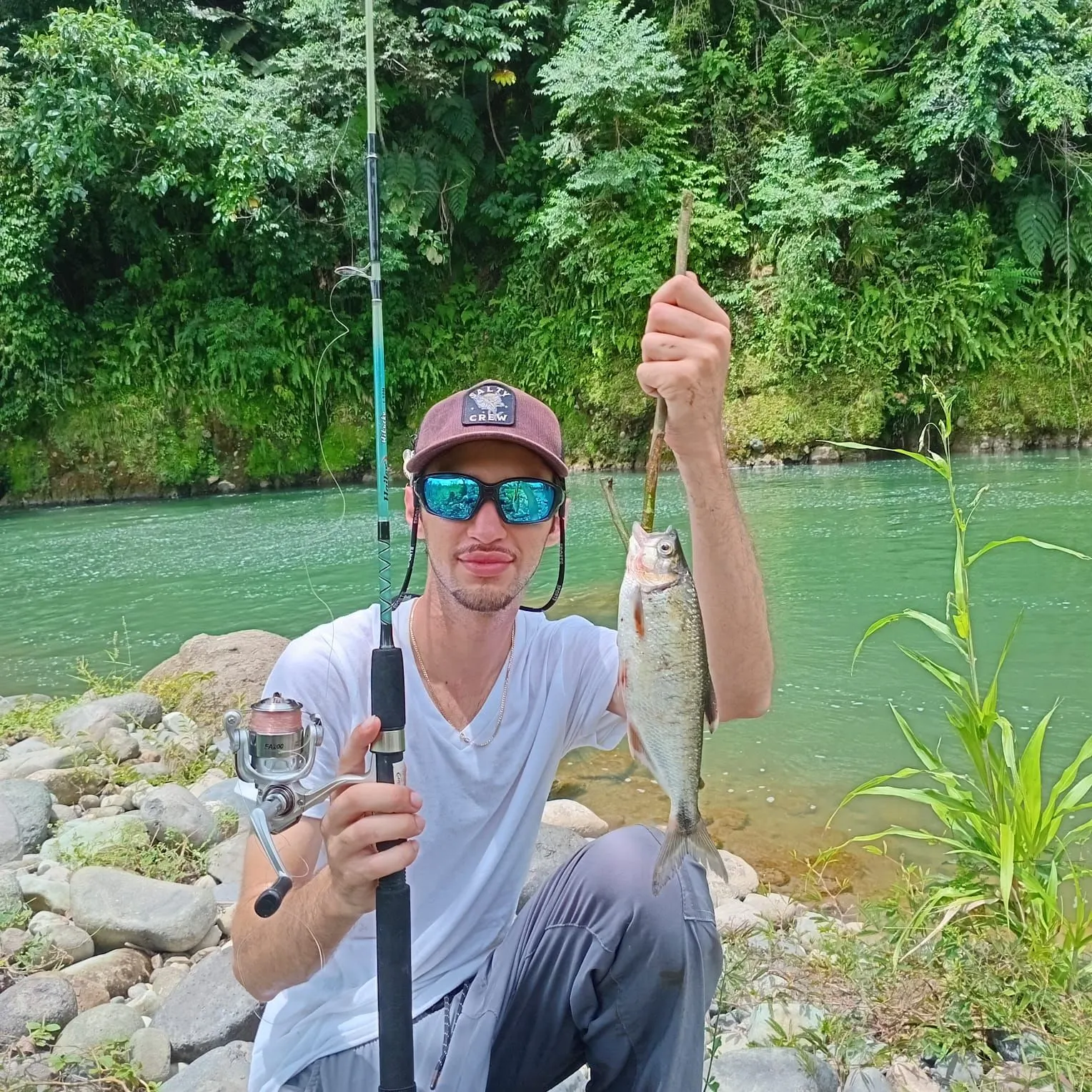 The most recent Machaca catches on Fishbrain