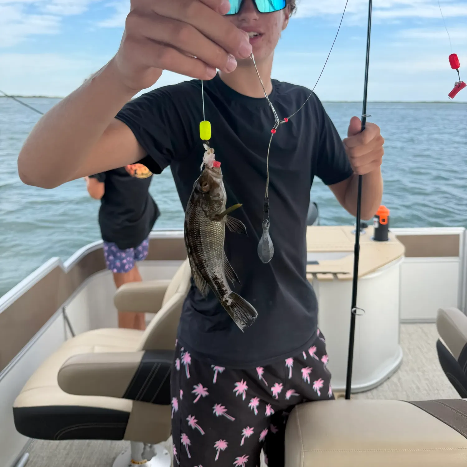 Black sea bass caught on Fishbrain