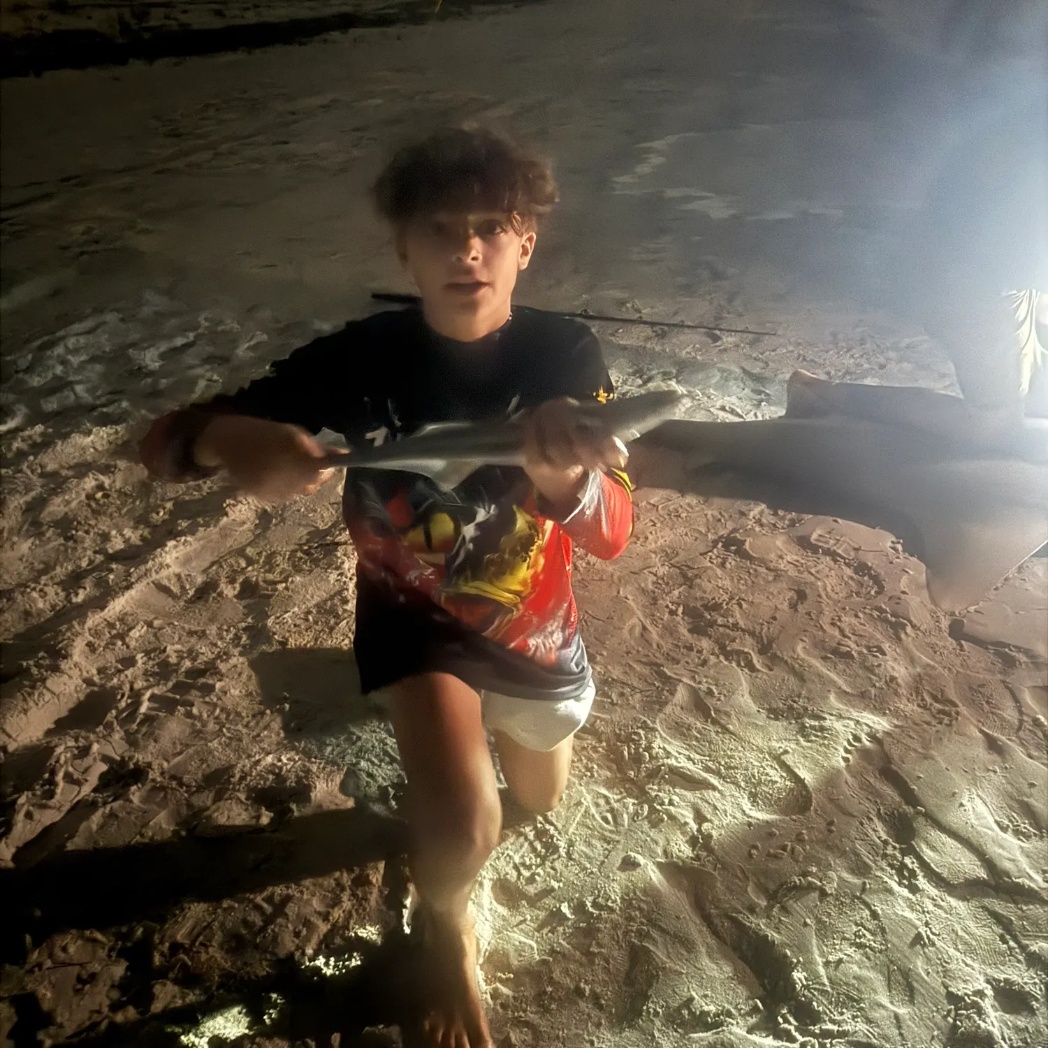 The most recent Common remora catches on Fishbrain