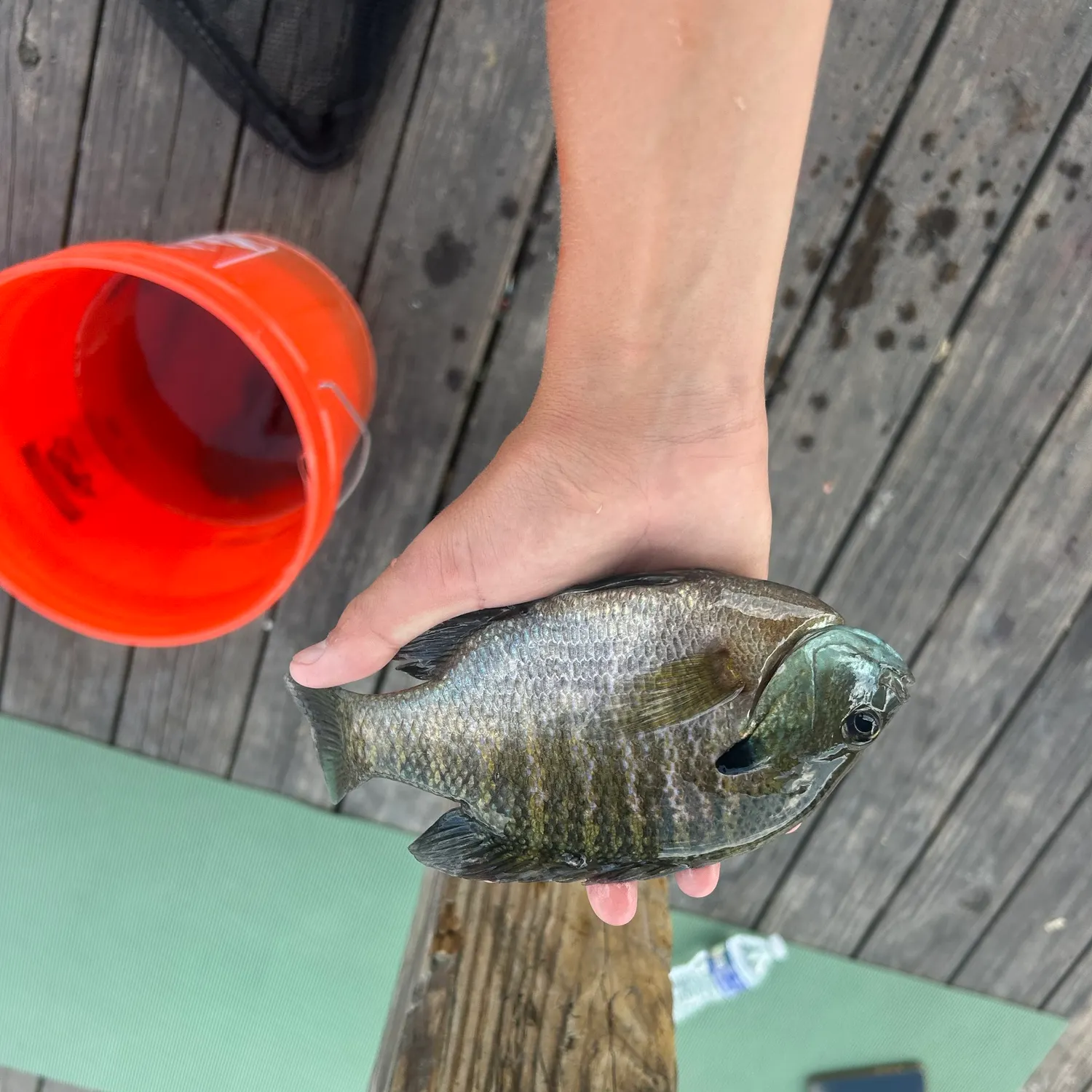 catch