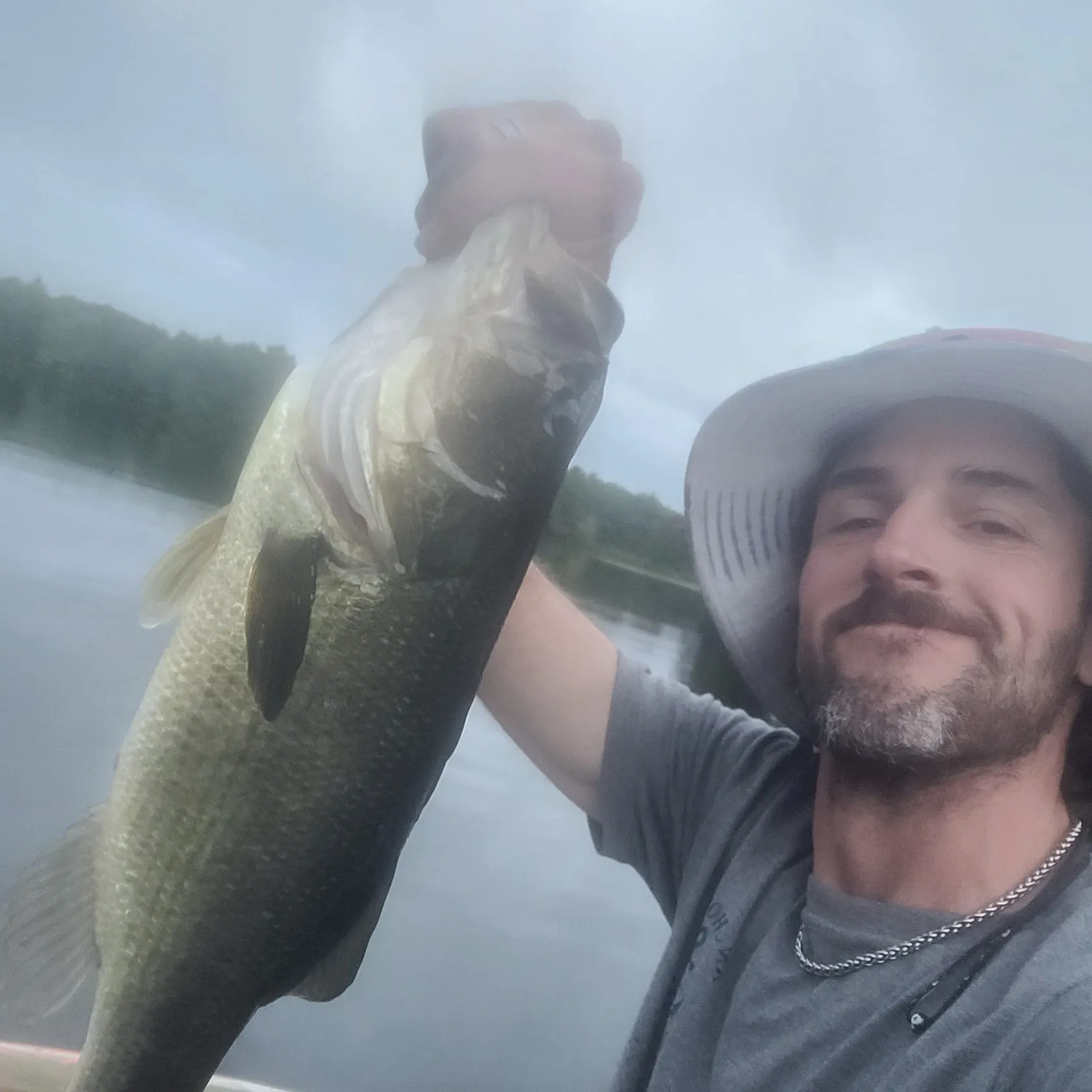 Largemouth bass caught on Fishbrain