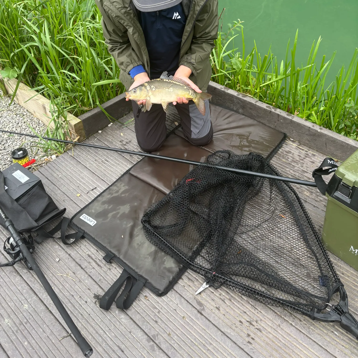 Mirror carp caught on Fishbrain