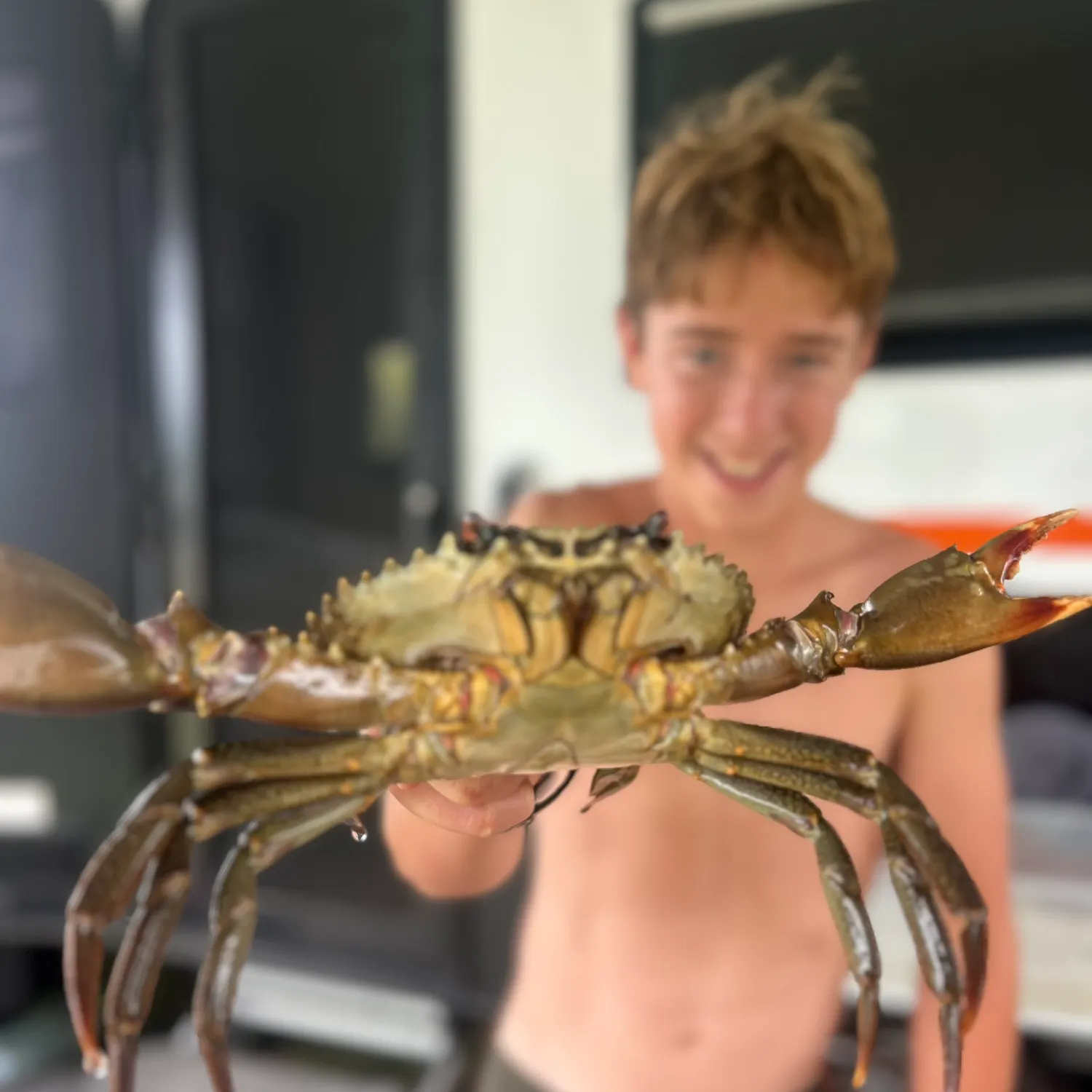 The most recent Giant mud crab catches on Fishbrain