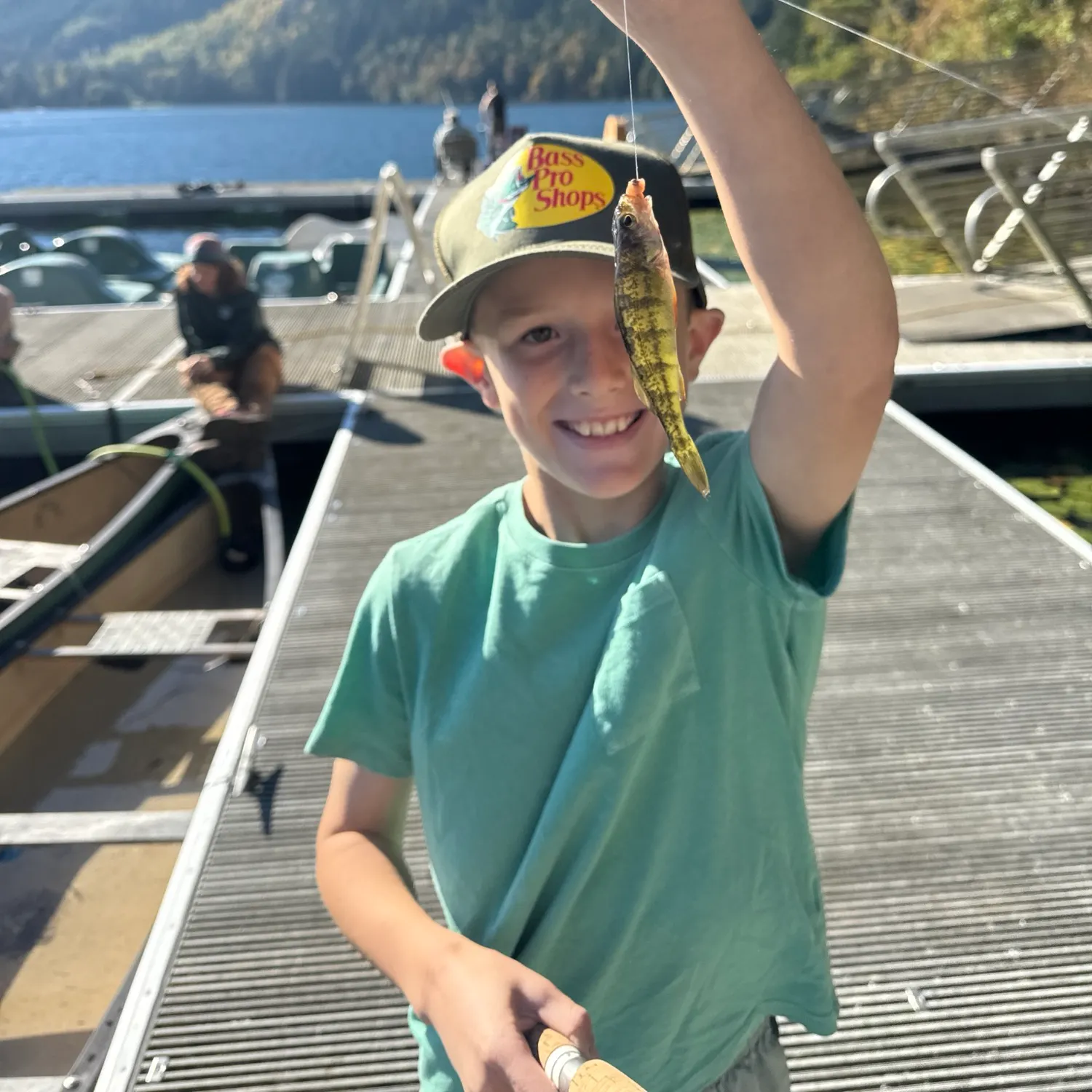 Yellow perch caught on Fishbrain