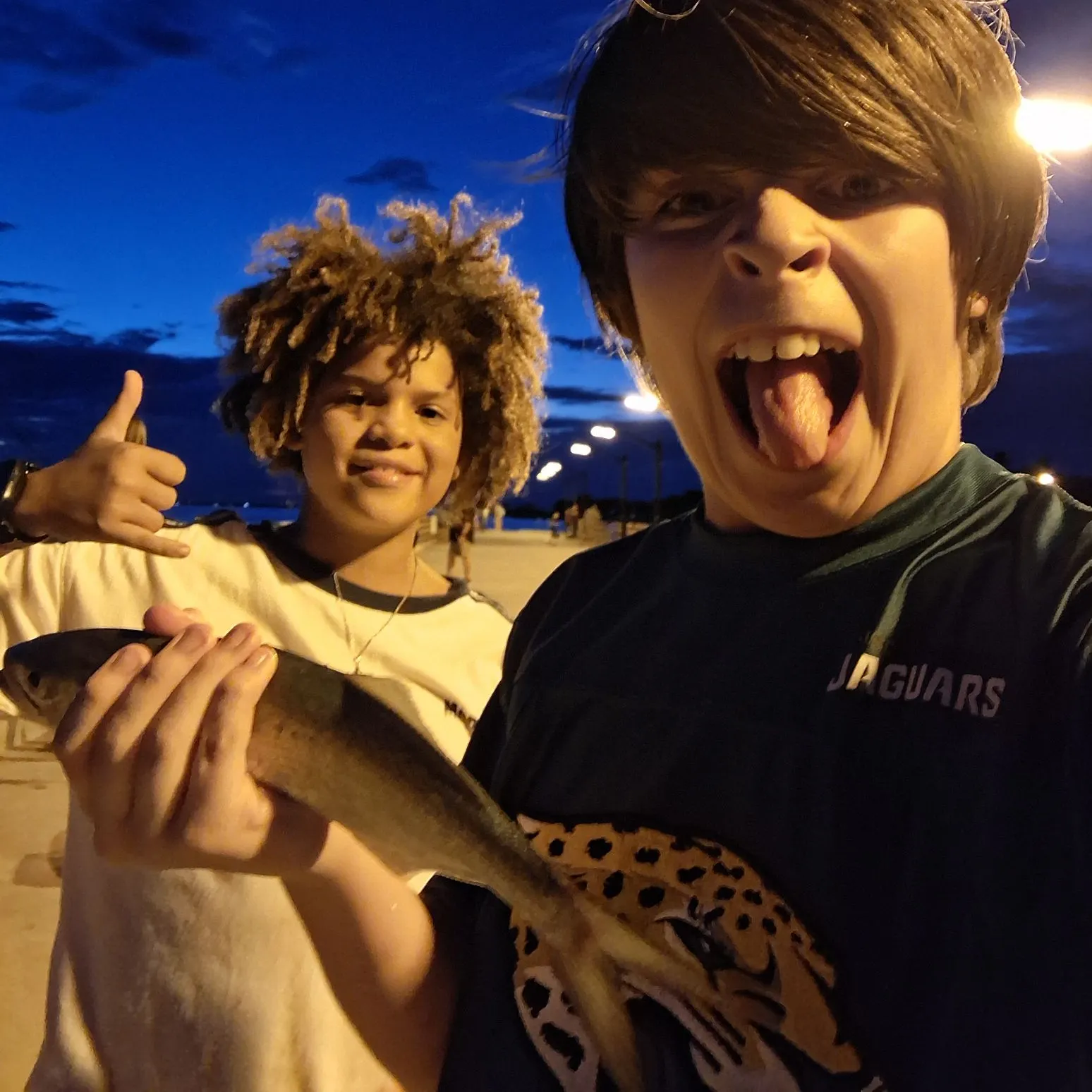 Bluefish caught on Fishbrain