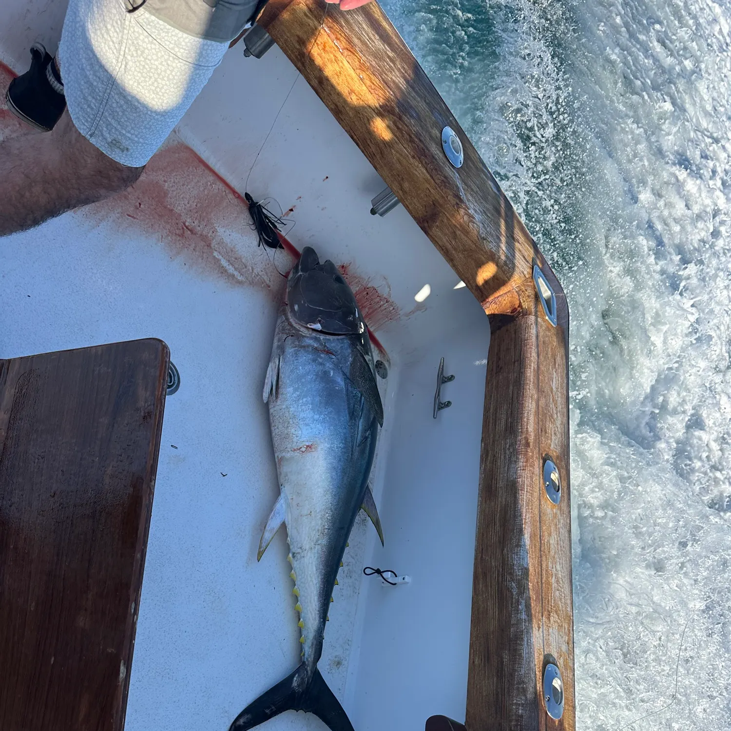 The most recent Atlantic bluefin tuna catches on Fishbrain