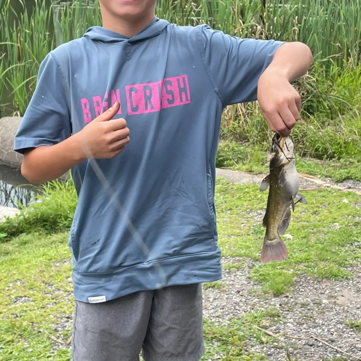 Channel catfish caught on Fishbrain