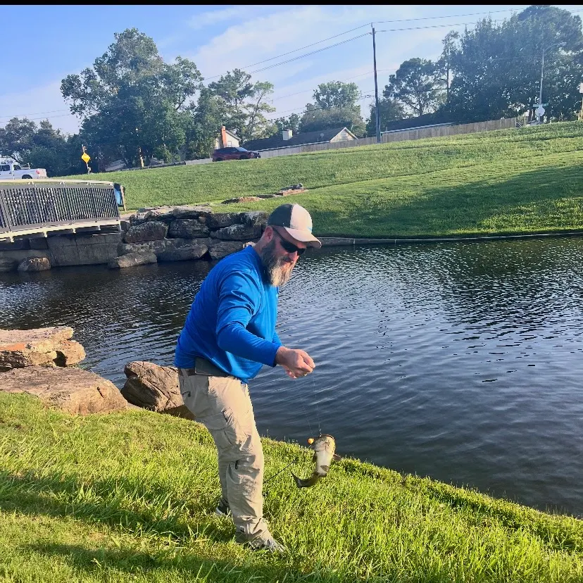 Channel catfish caught on Fishbrain