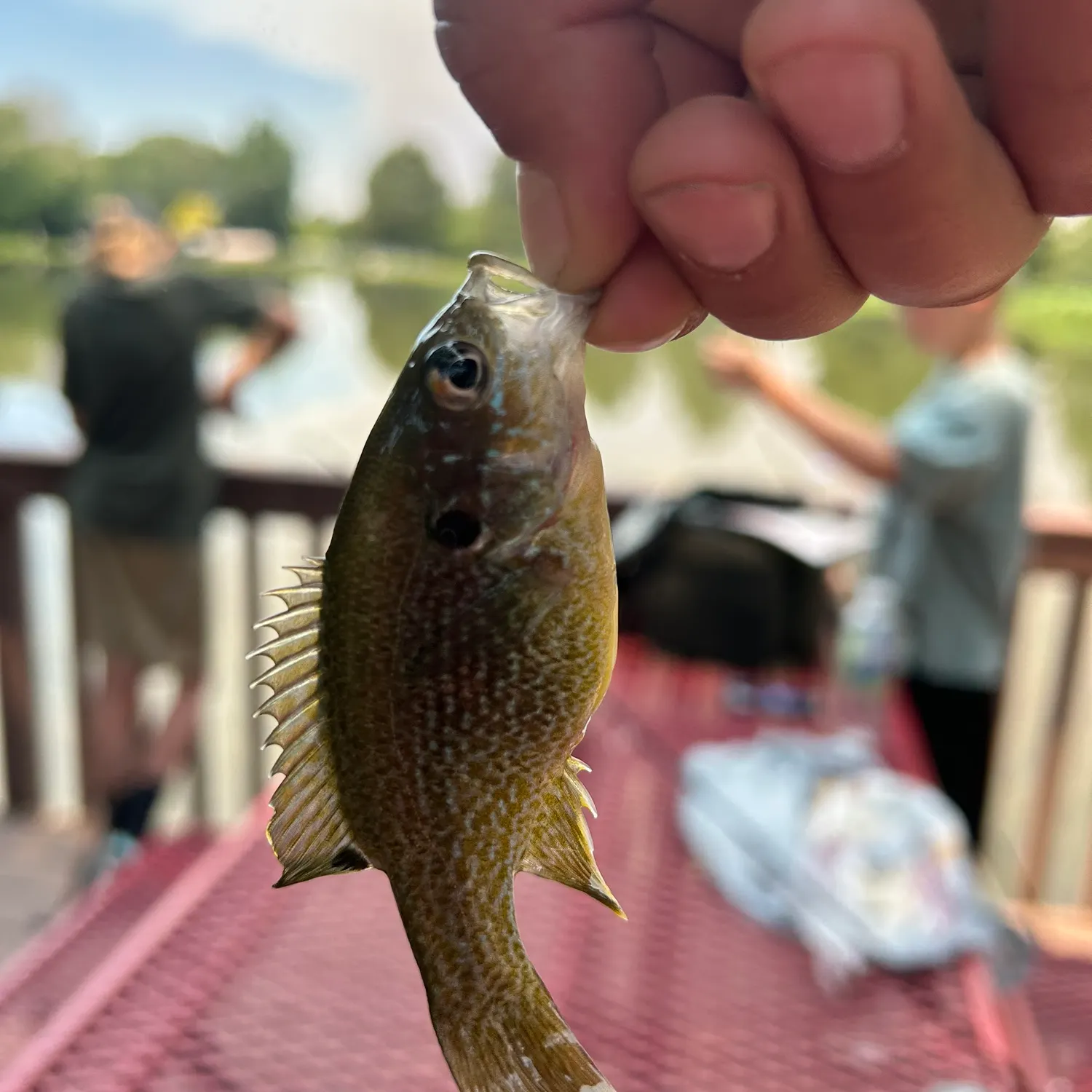 catch