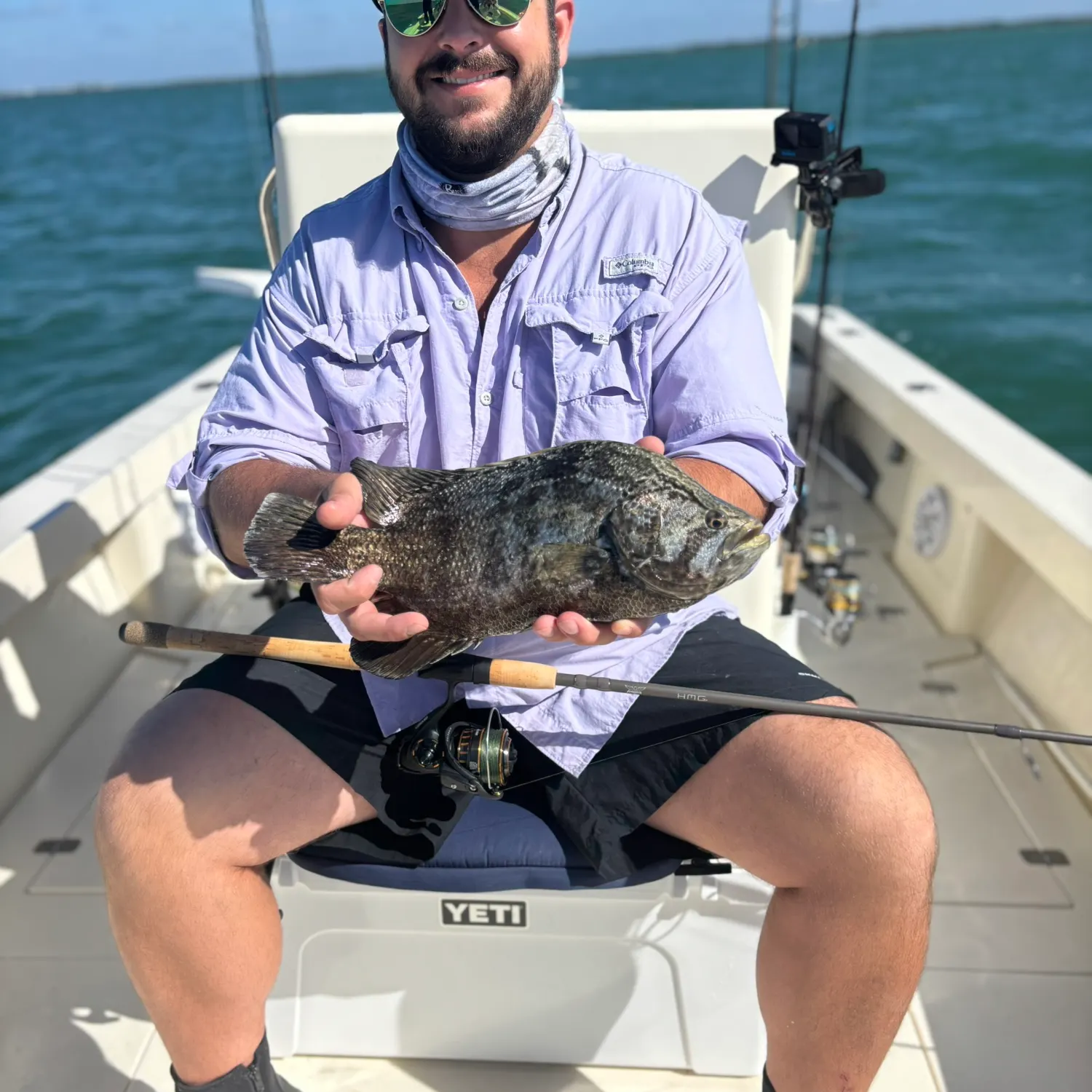 The most recent Atlantic tripletail catches on Fishbrain