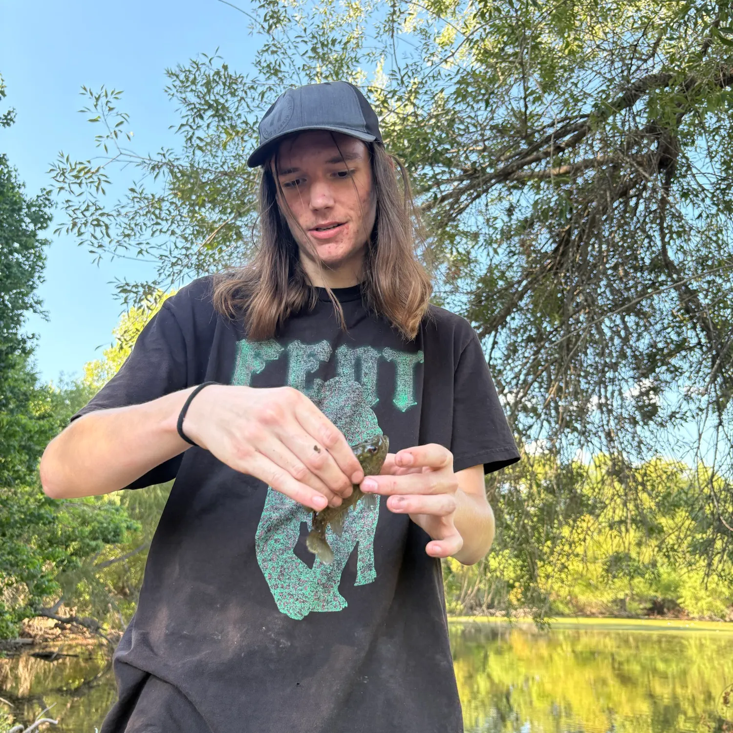 Bluegill caught on Fishbrain