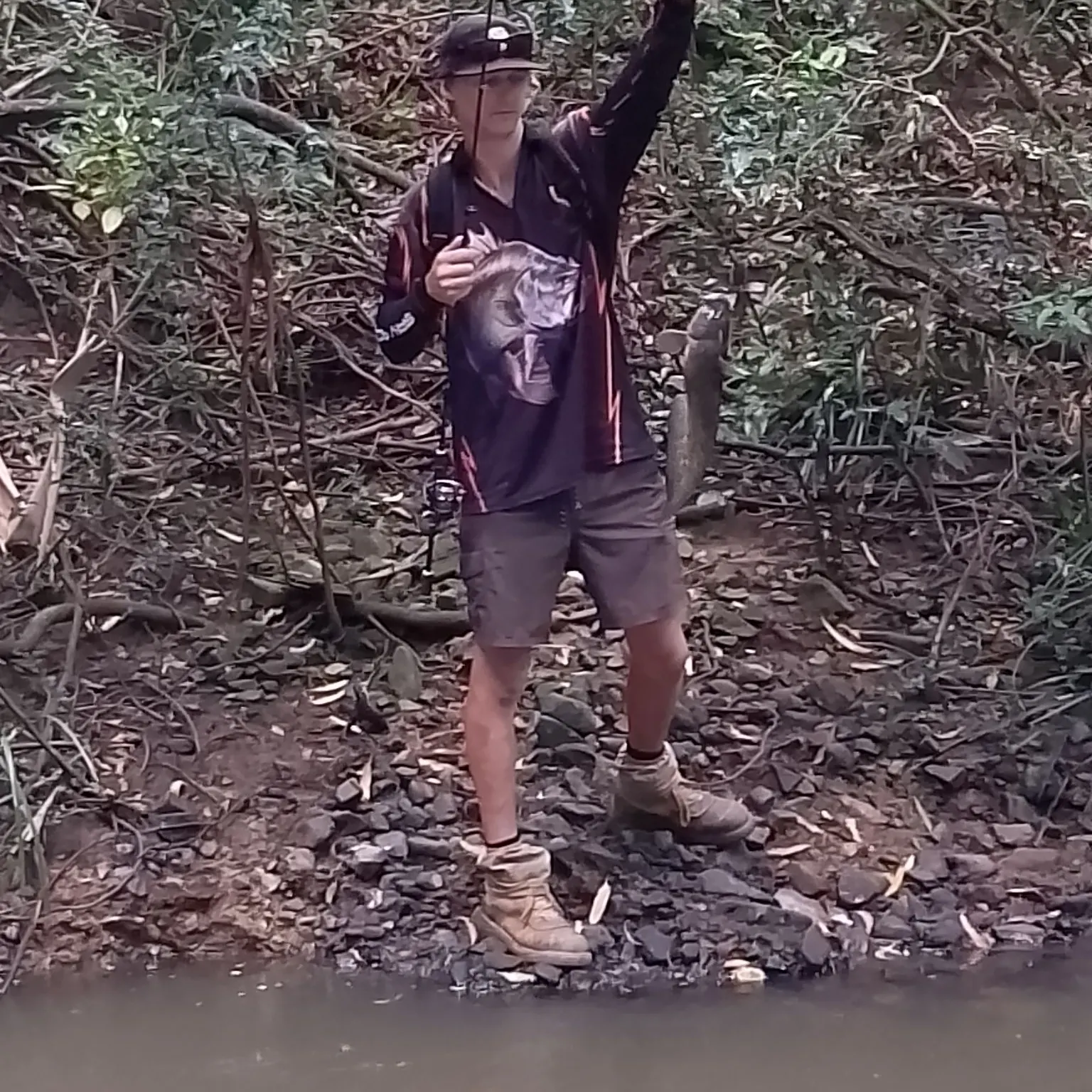 The most recent Dewfish catches on Fishbrain