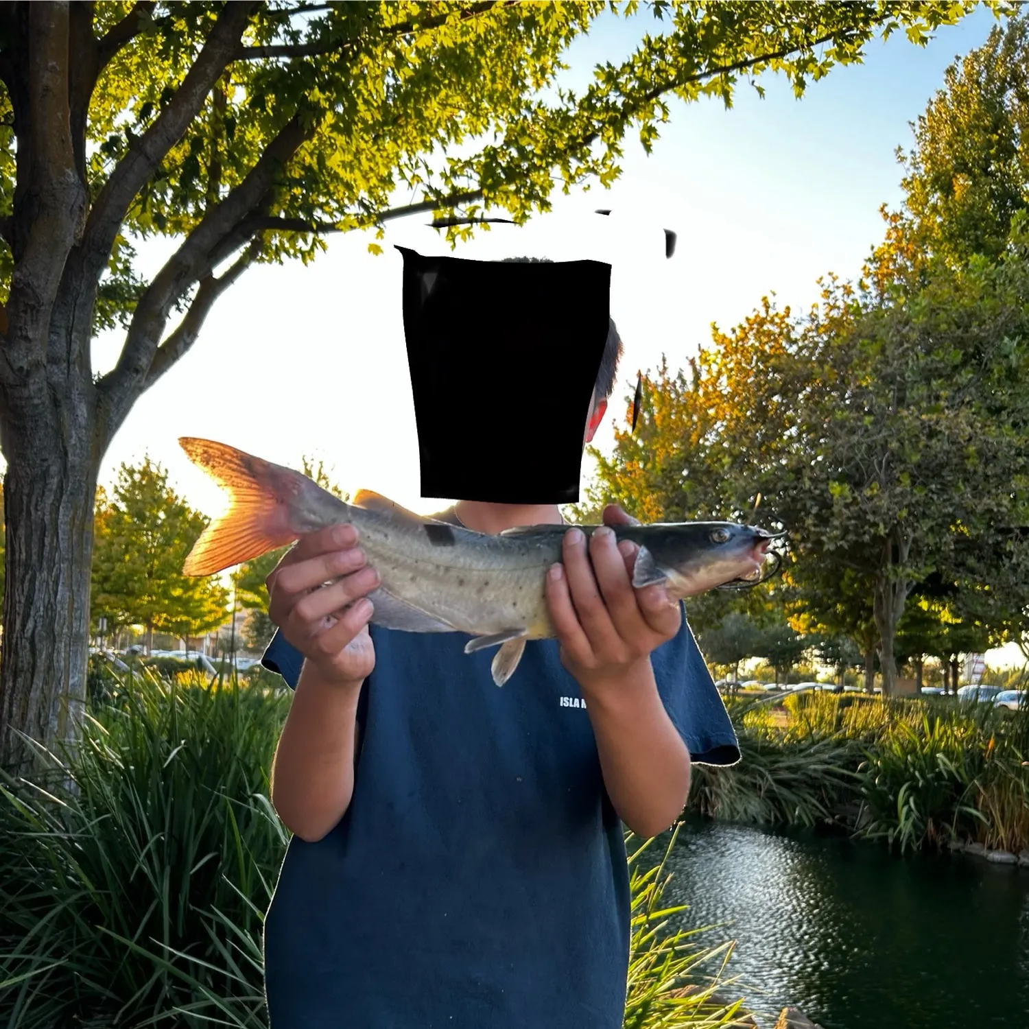 Channel catfish caught on Fishbrain