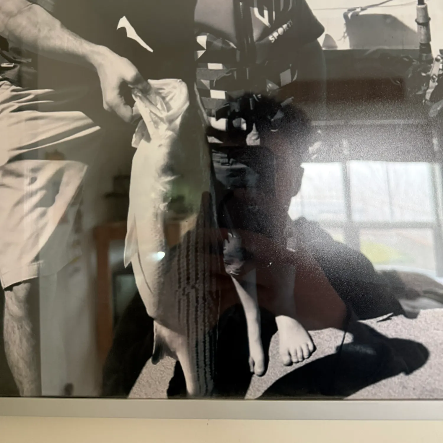 The most recent Striped bass catches on Fishbrain