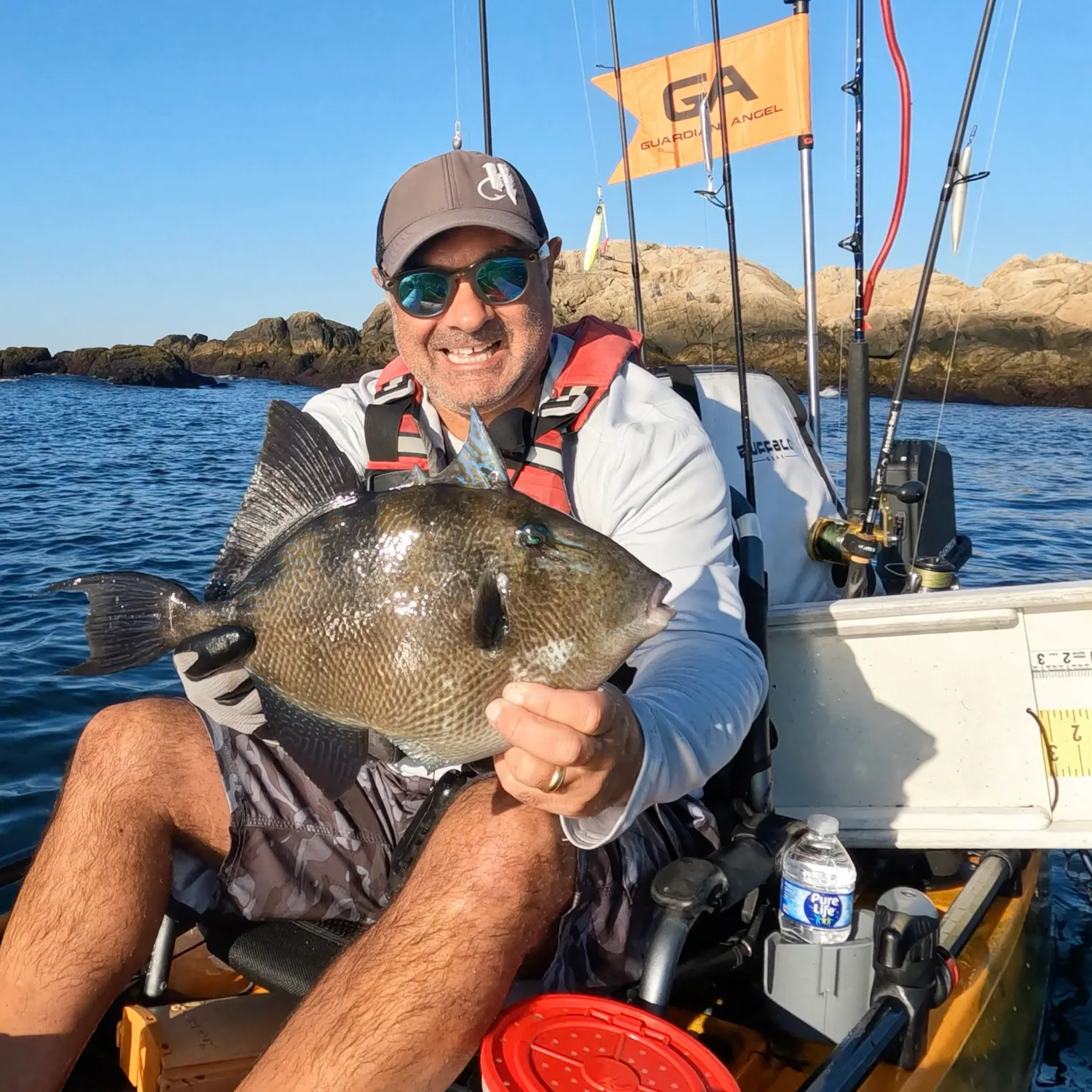 The most recent Grey triggerfish catches on Fishbrain