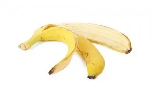 Fruit