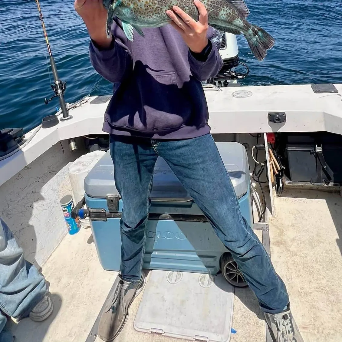 The most recent Blackspotted rockfish catches on Fishbrain