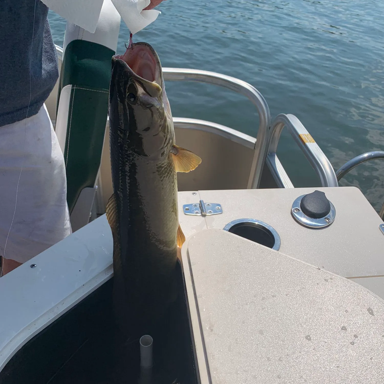 angler catch